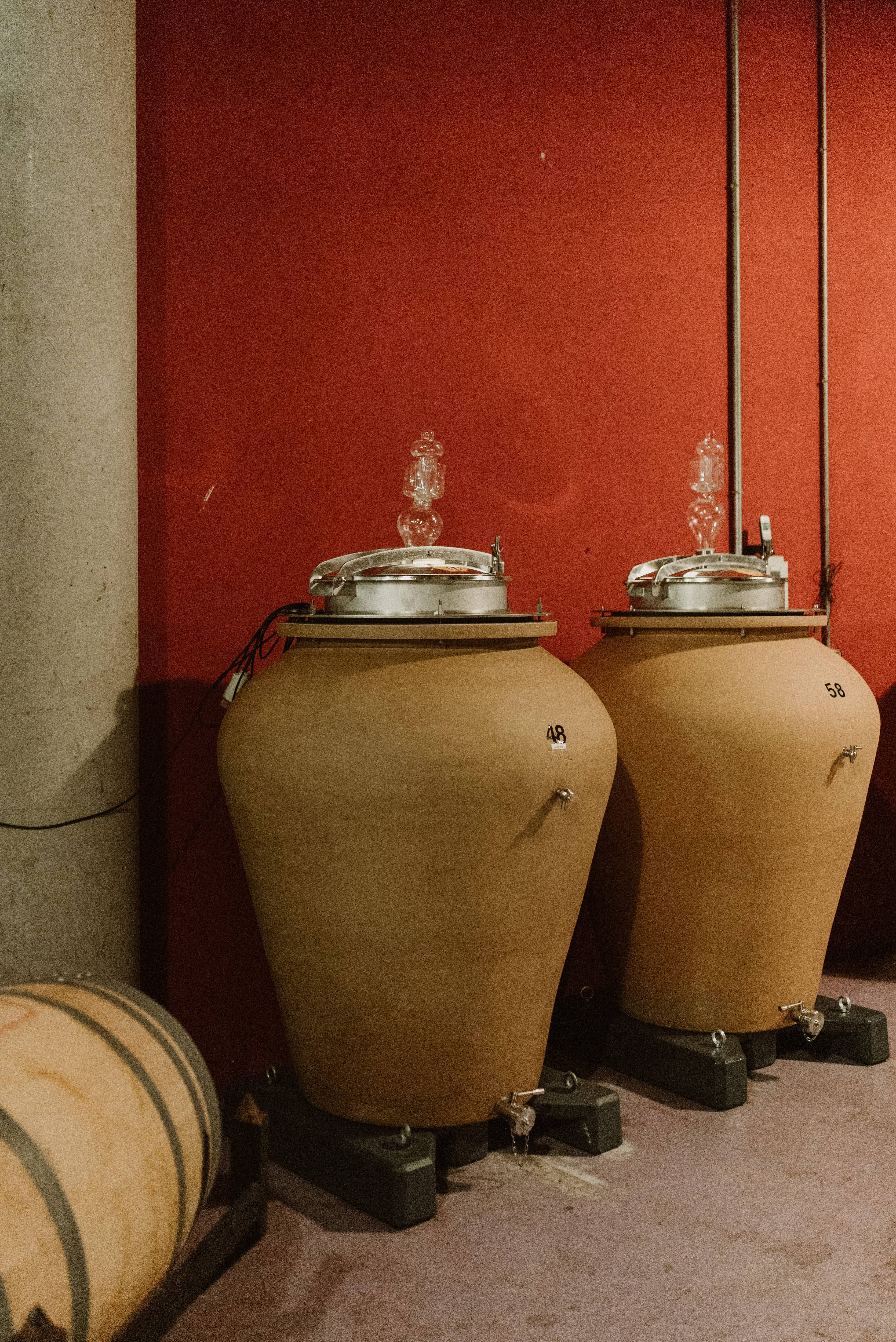 Winery visit and tasting - Bodegas Luis Alegre - Winalist