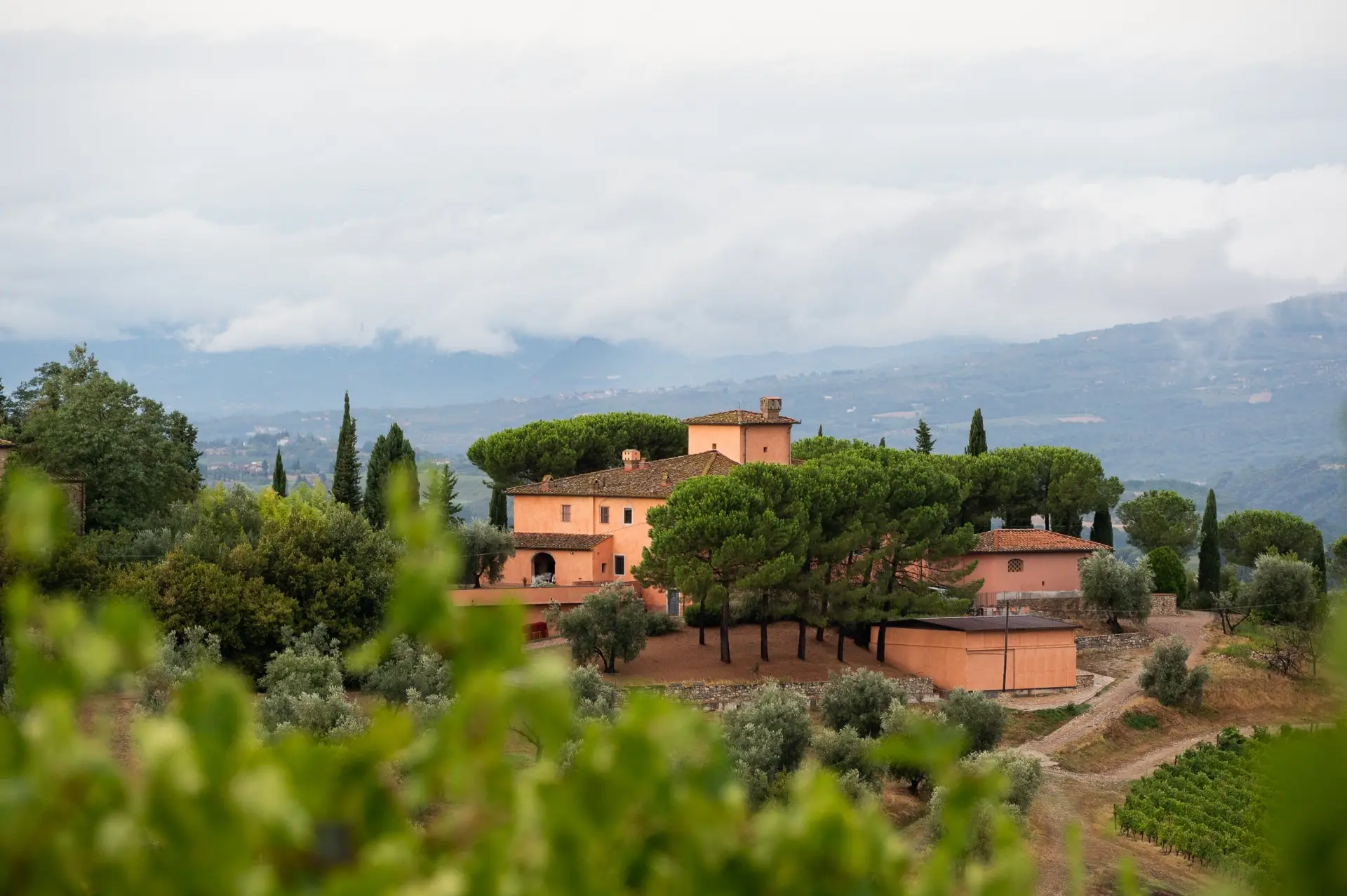 Marzocco Di Roberta Chini - Winalist