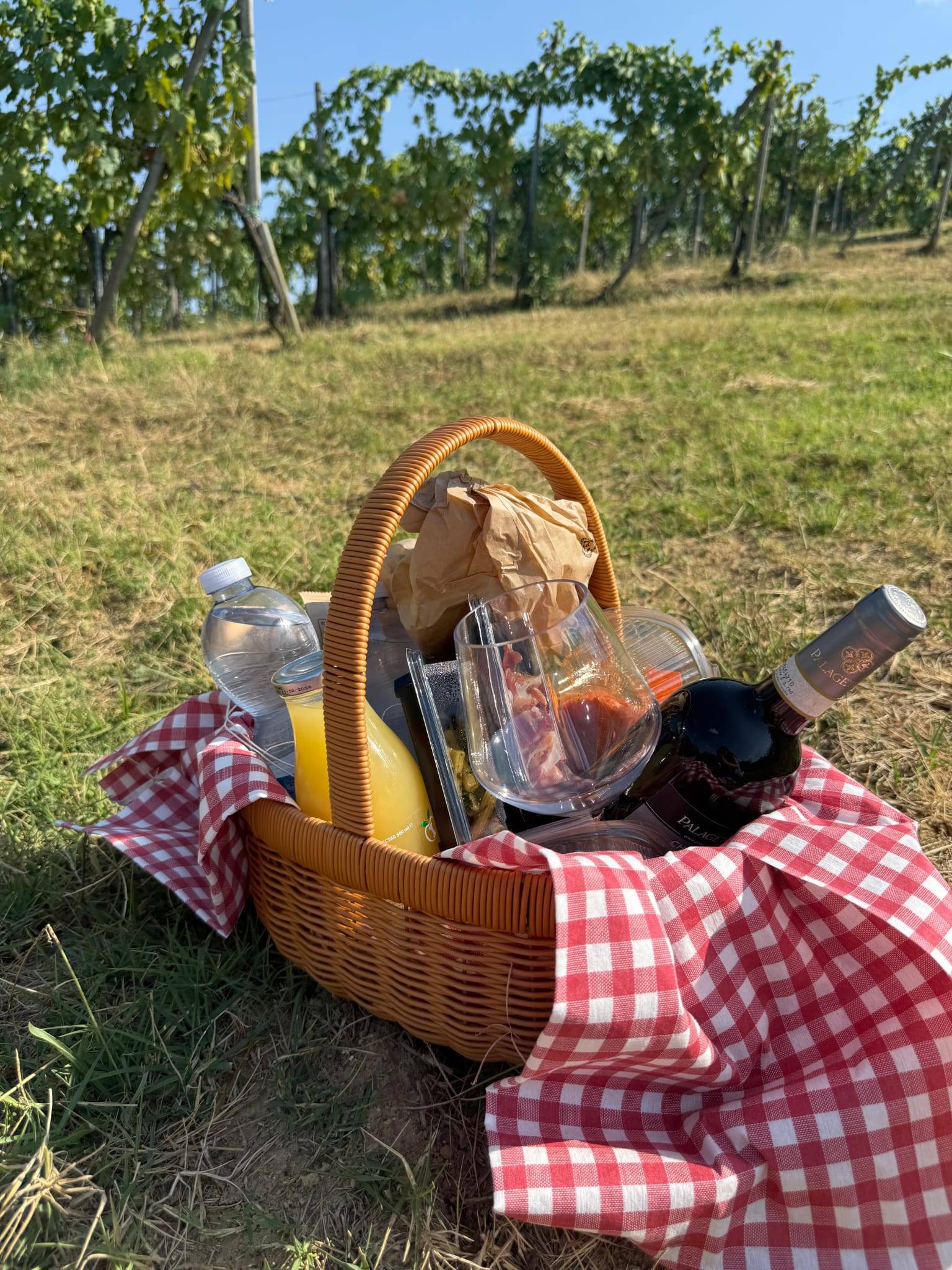 Picnic in the vineyard - Palagetto - Winalist