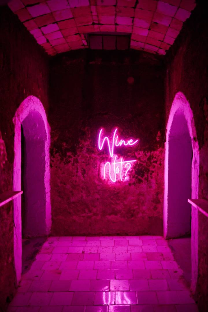 Wine Not? Experience - Vilasira - Winalist