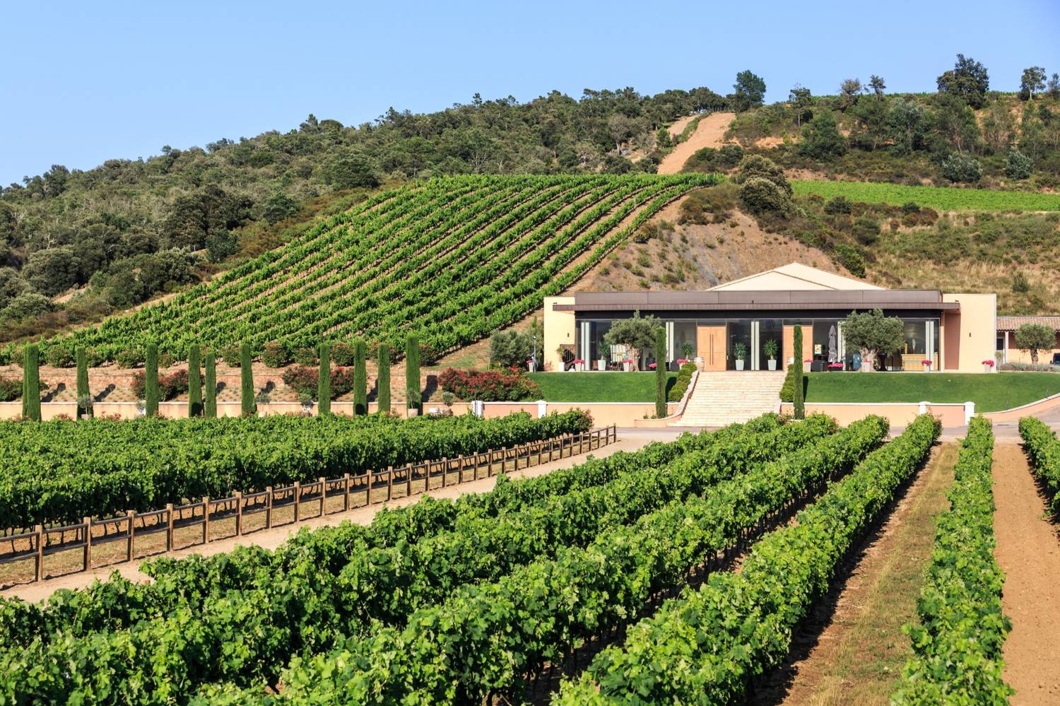 Top 10 châteaux viticoles en Provence à visiter cet été - 2026 - 4 - châteaux viticoles provence châteaux viticoles provence - Top 10 châteaux viticoles en Provence à visiter cet été - 2026 - 3