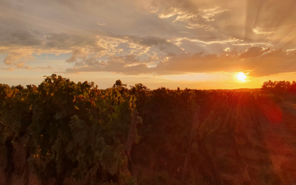 Maison Du Berneuilh - Winalist