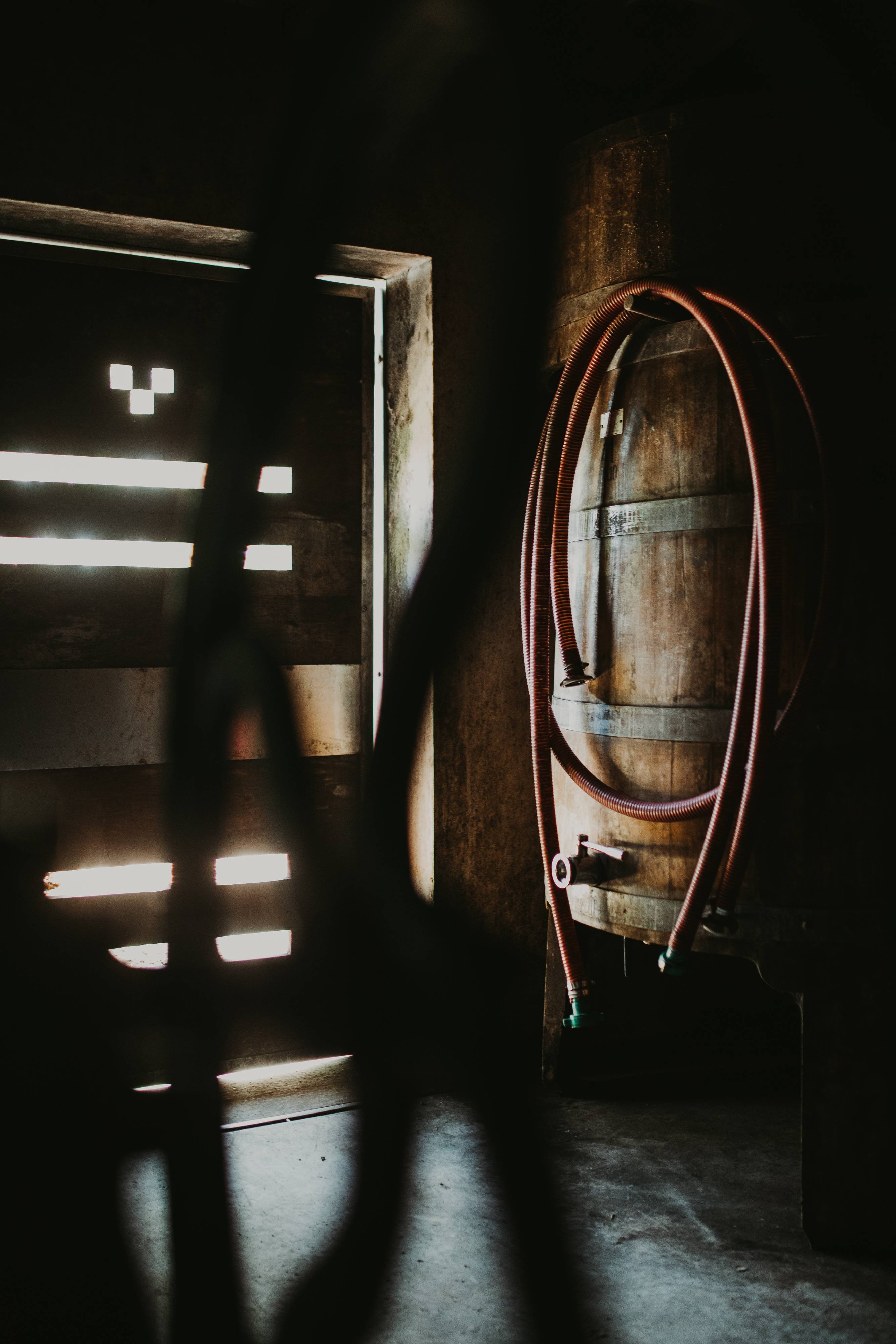 Musco: The Wine of the Etruscan Cave