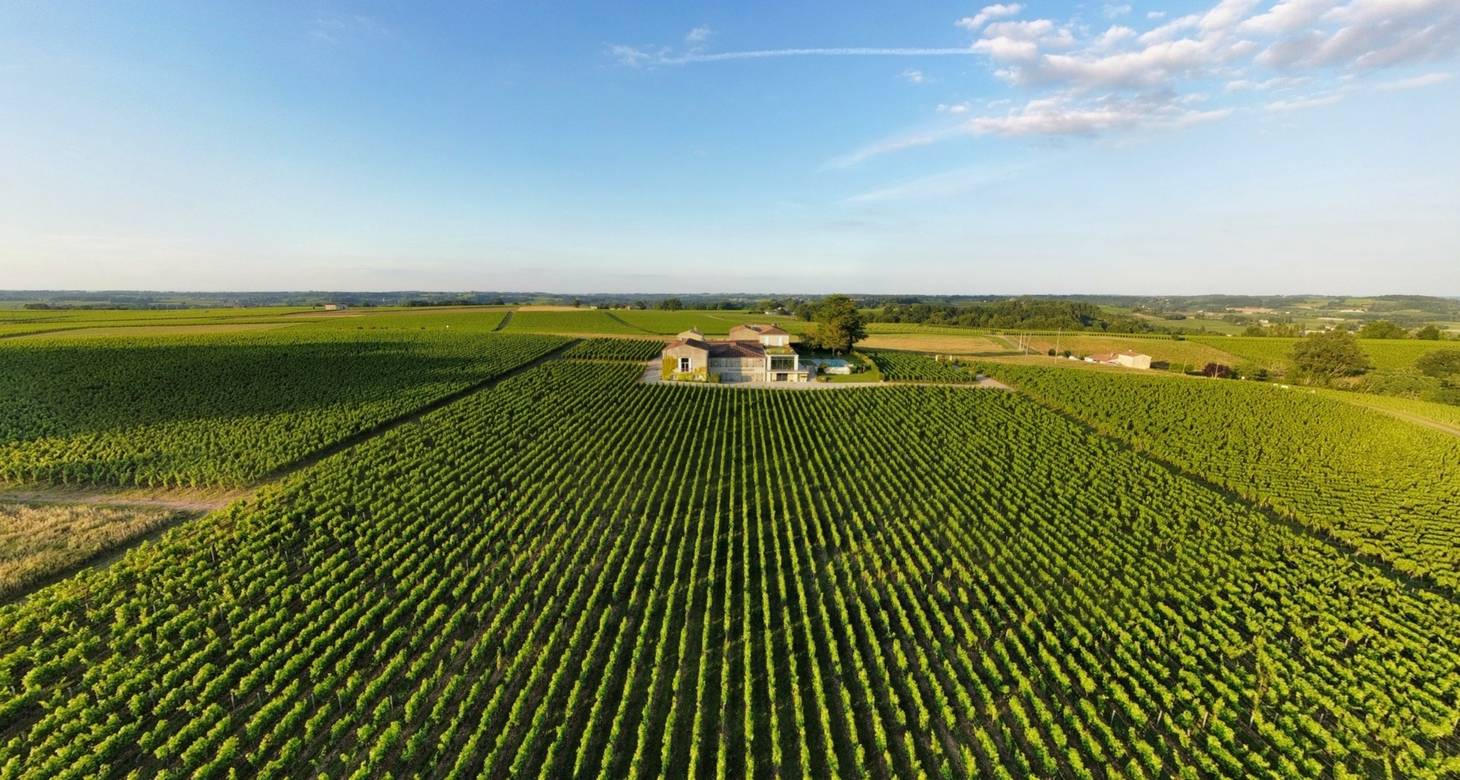 Best things to do in Saint-Emilion near Bordeaux: Travel guide - 2026 - 24 - things to do in Saint-Emilion things to do in Saint-Emilion - Best things to do in Saint-Emilion near Bordeaux: Travel guide - 2026 - 23
