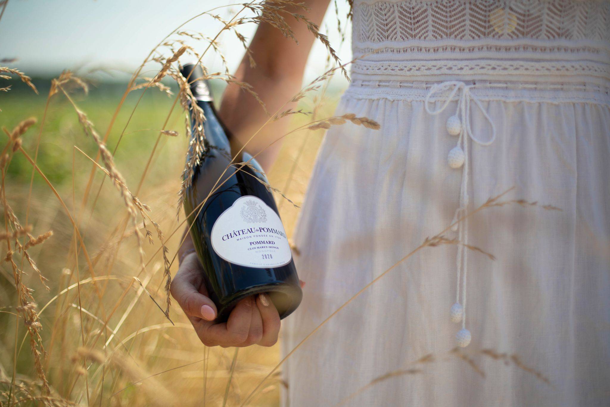 Château de Pommard ⭐️ Book Tours & Tastings