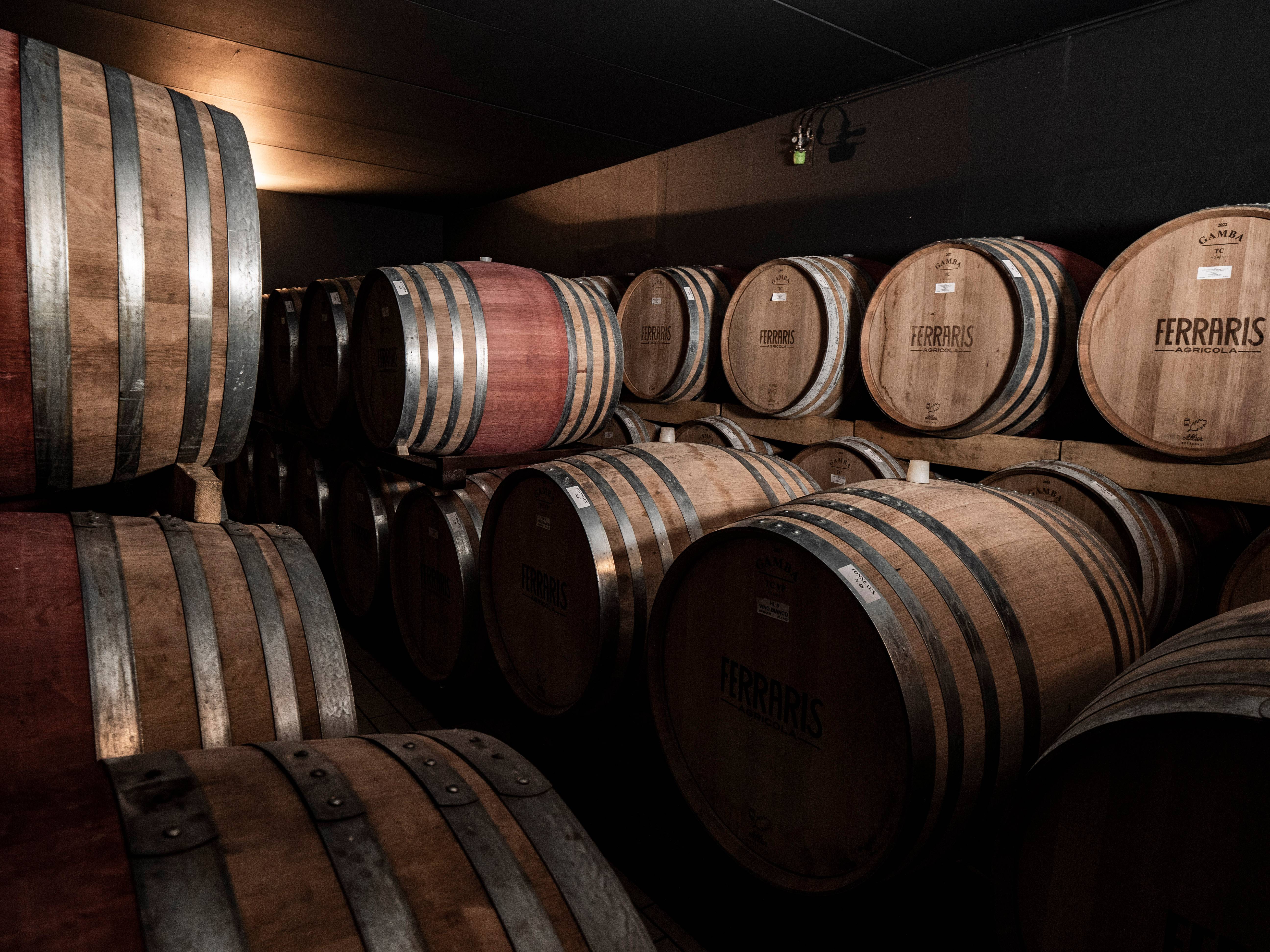 Museum visit + tasting