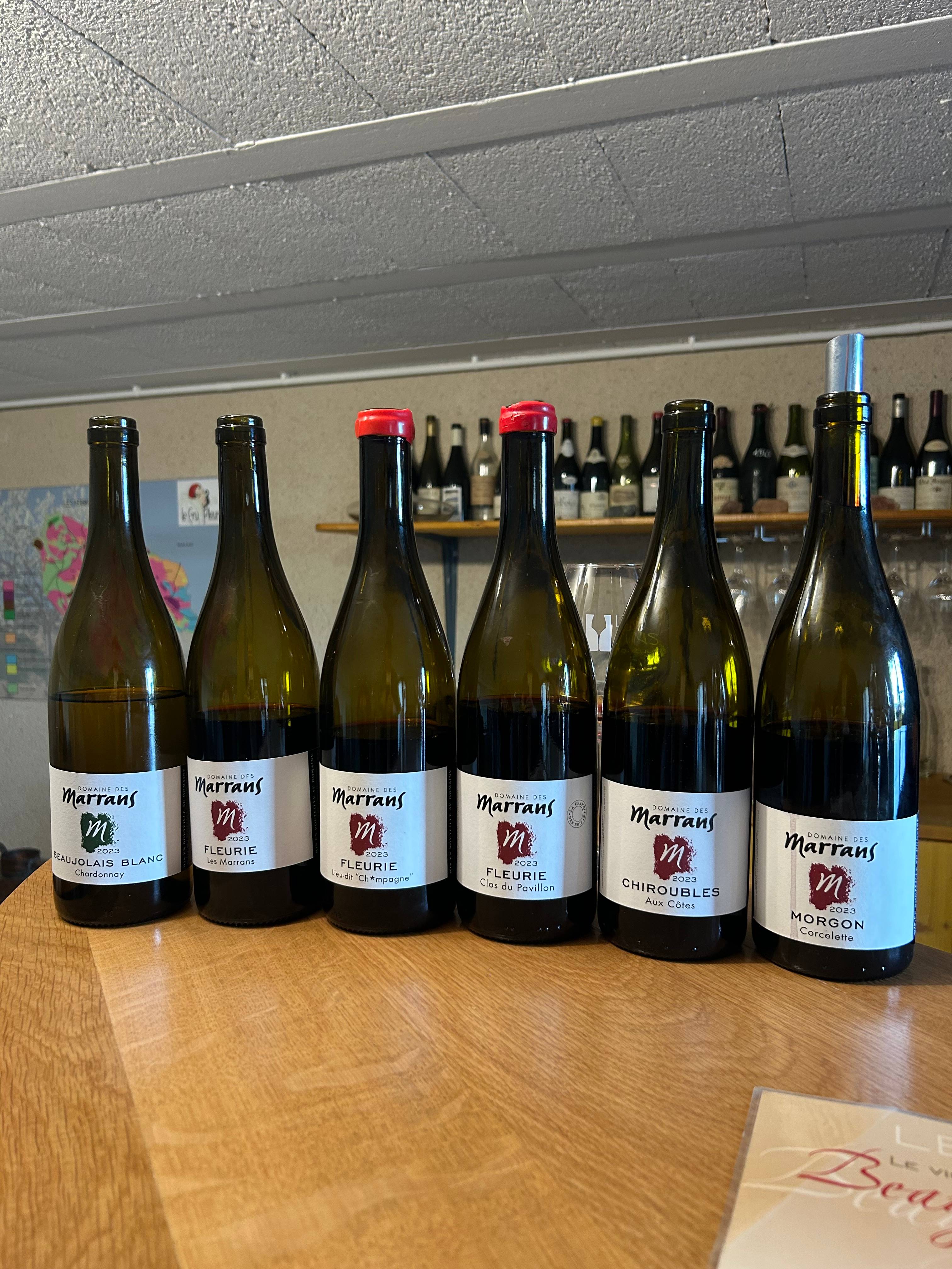 Au départ de Lyon : visite privée du Beaujolais avec guide et transport