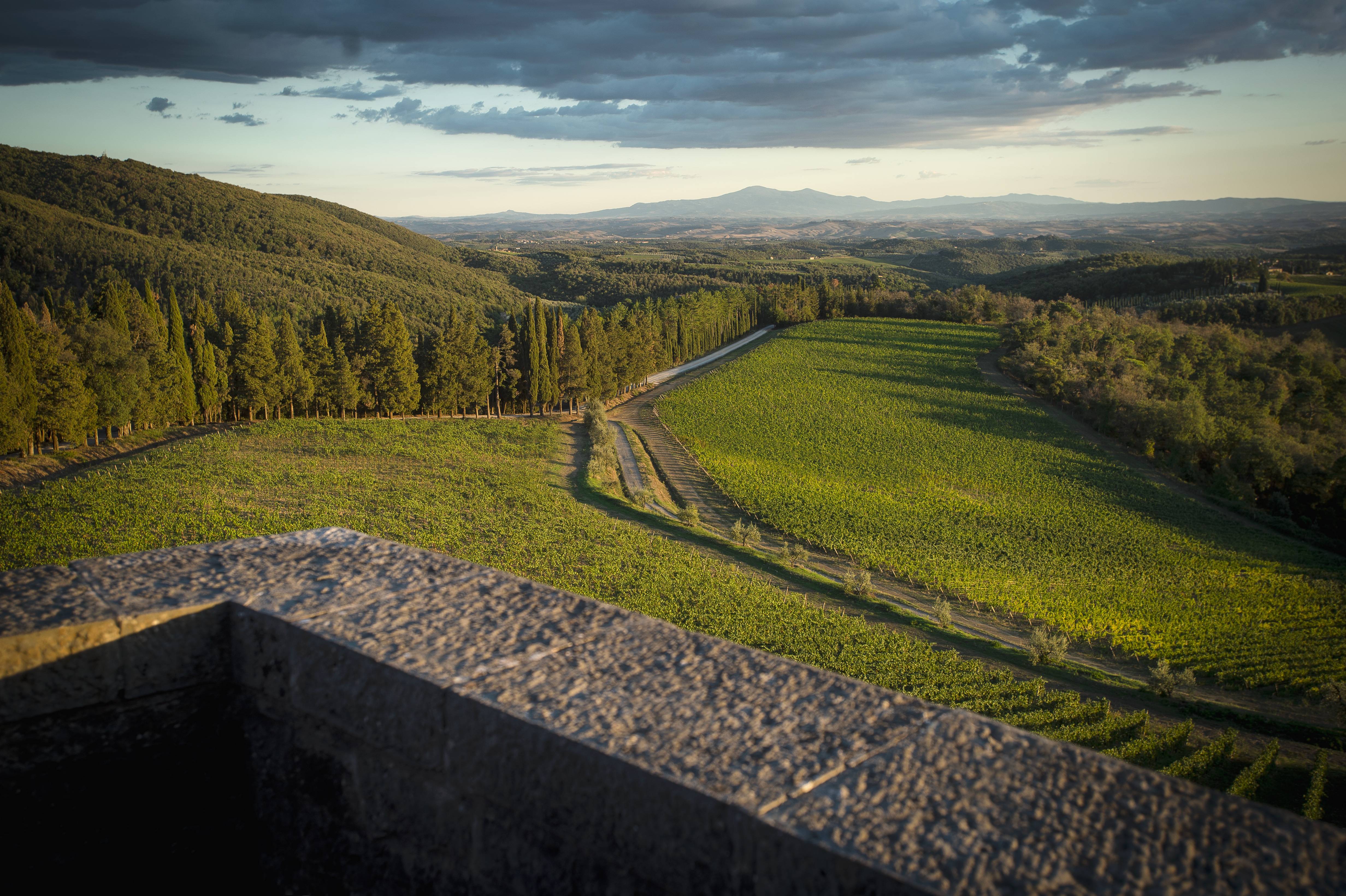Dégustation dans la Limonaia du Château de Brolio - Barone Ricasoli - Winalist