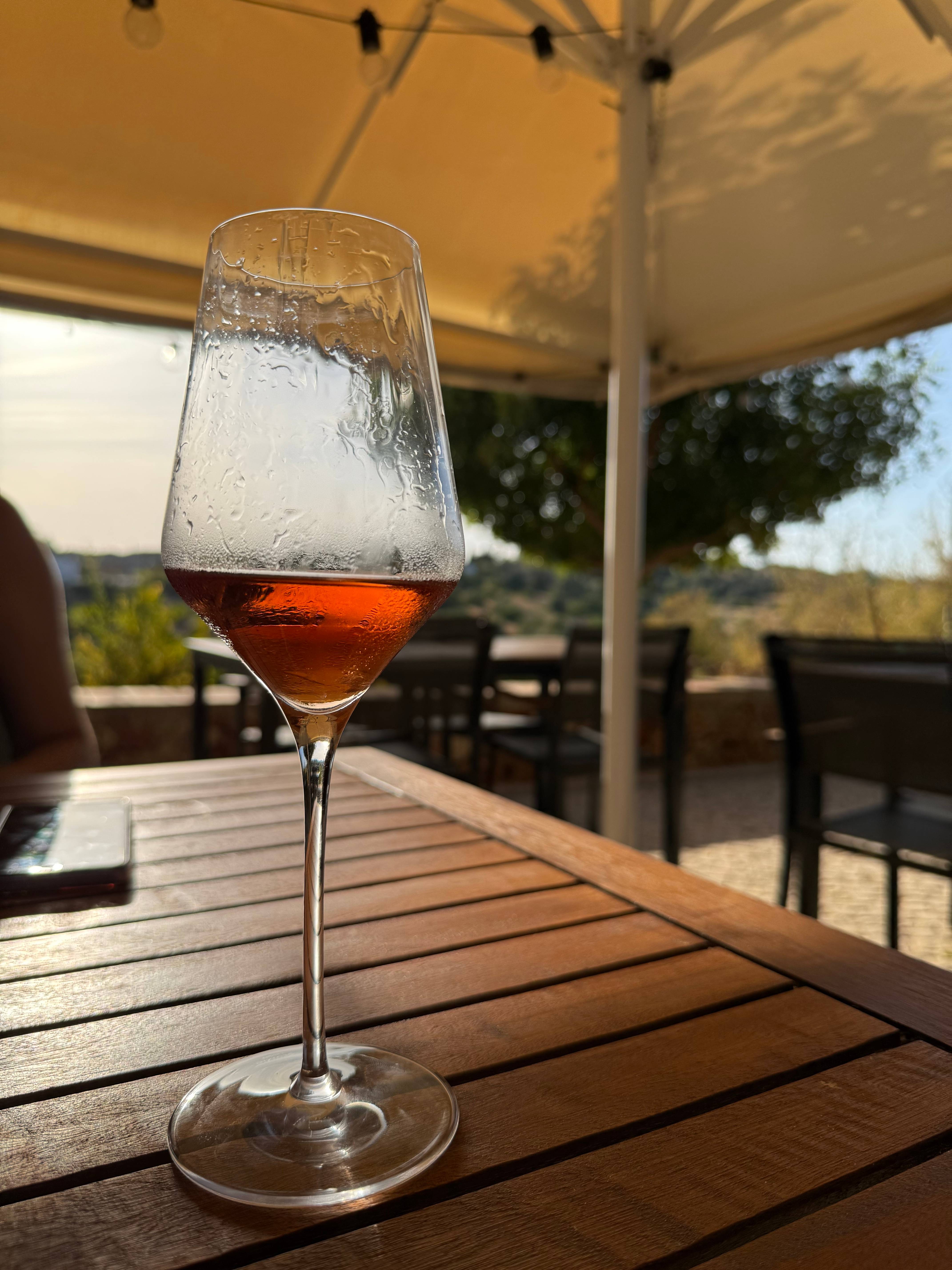 Tour Guiado e Prova de Vinhos no Coração da Vinha