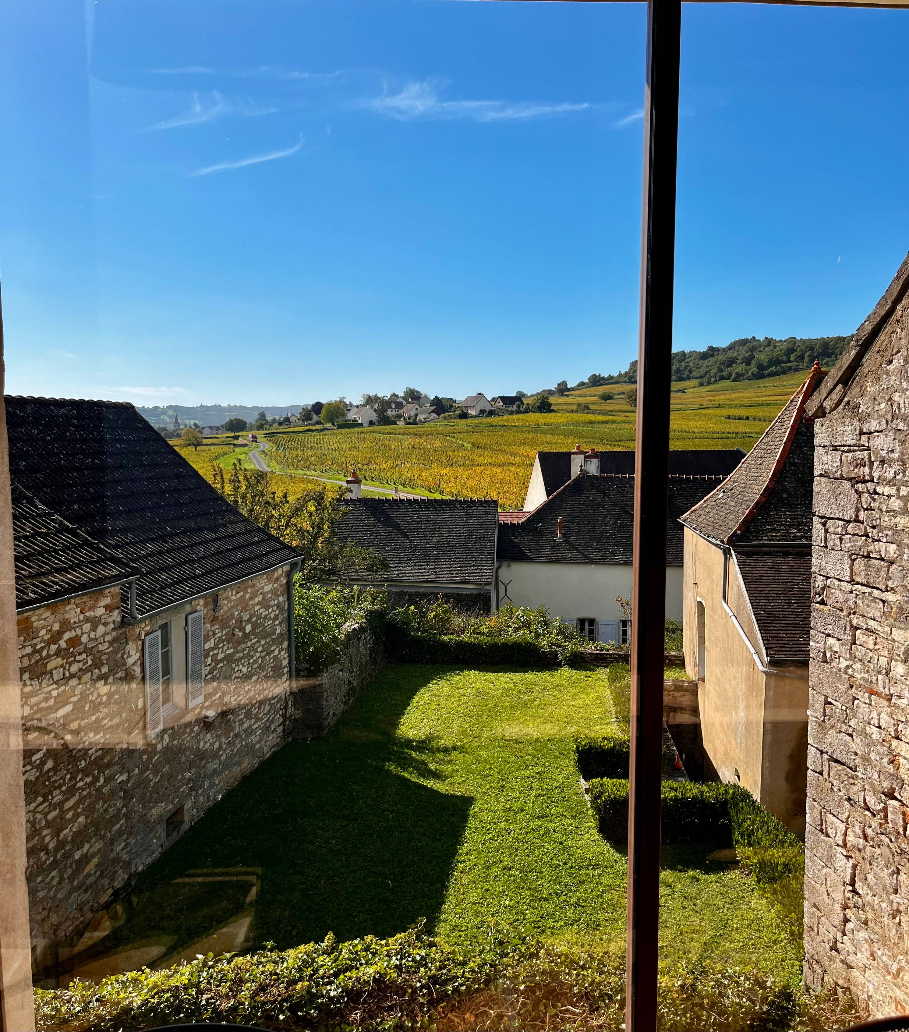 Dégustation de 5 vins avec planche apéritive