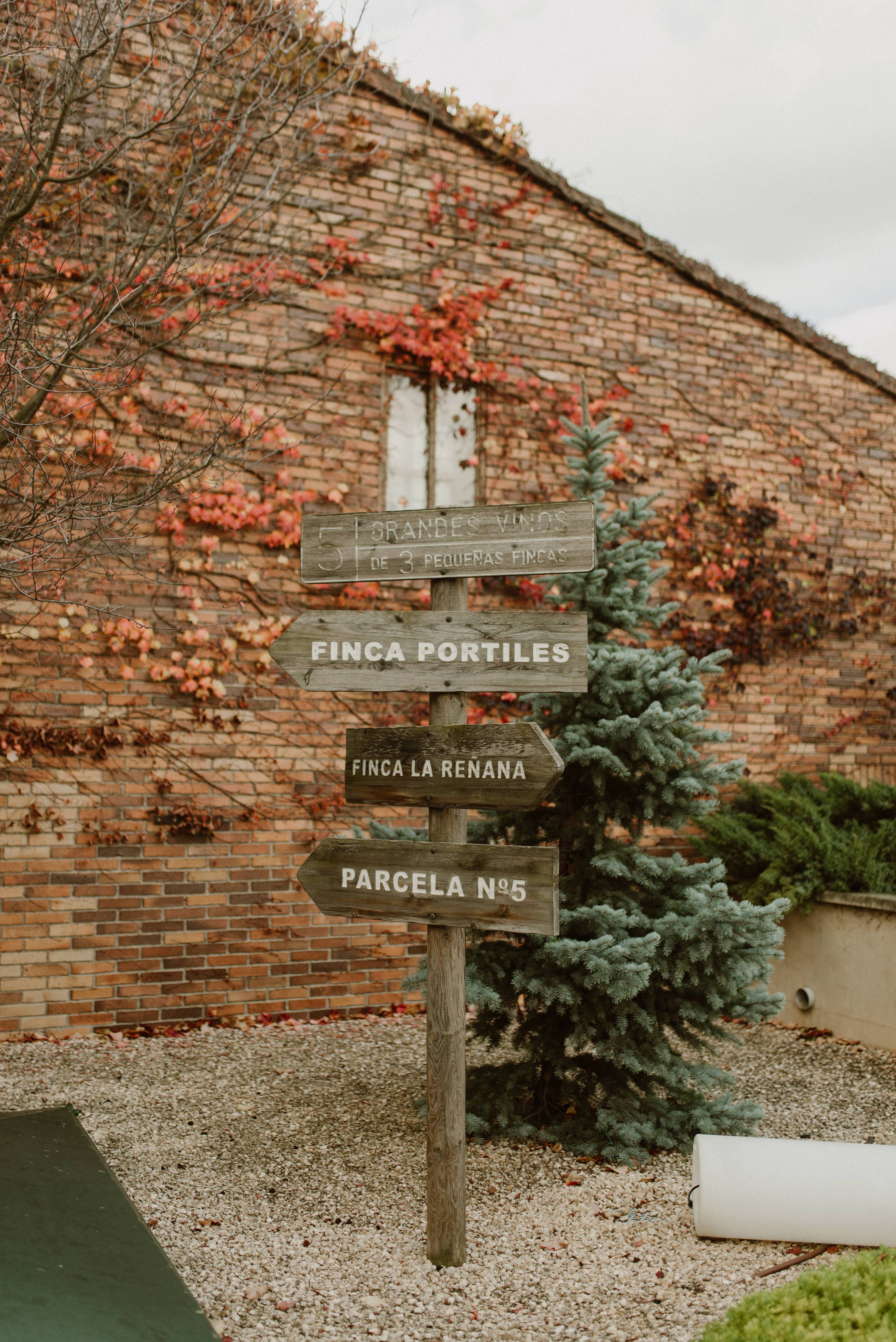 Winery visit and tasting - Bodegas Luis Alegre - Winalist