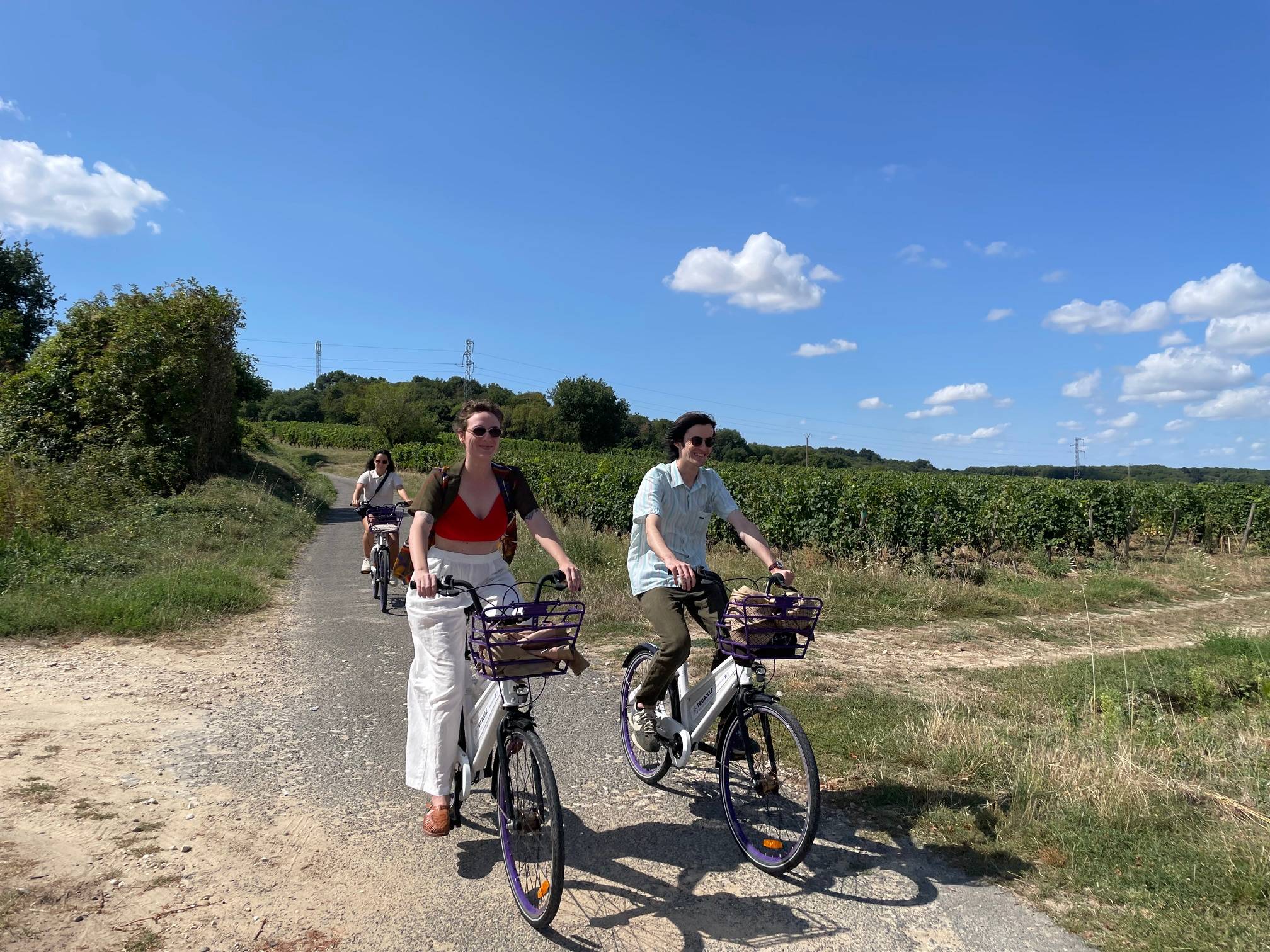 Vinhas, Vinho, Bicicleta - Domaine De Rocheville - Winalist
