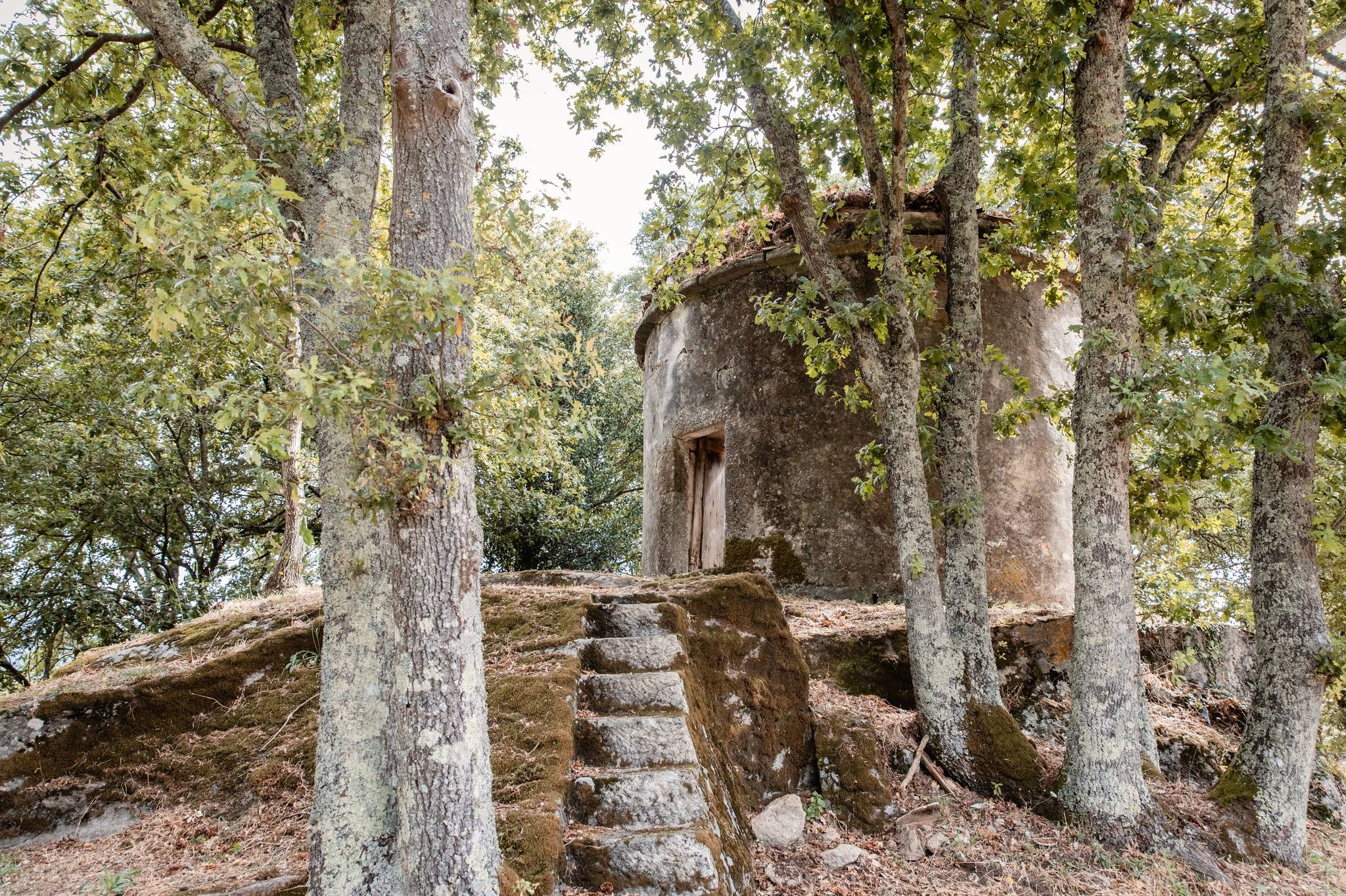 Visita alla tenuta e degustazione guidata di vini