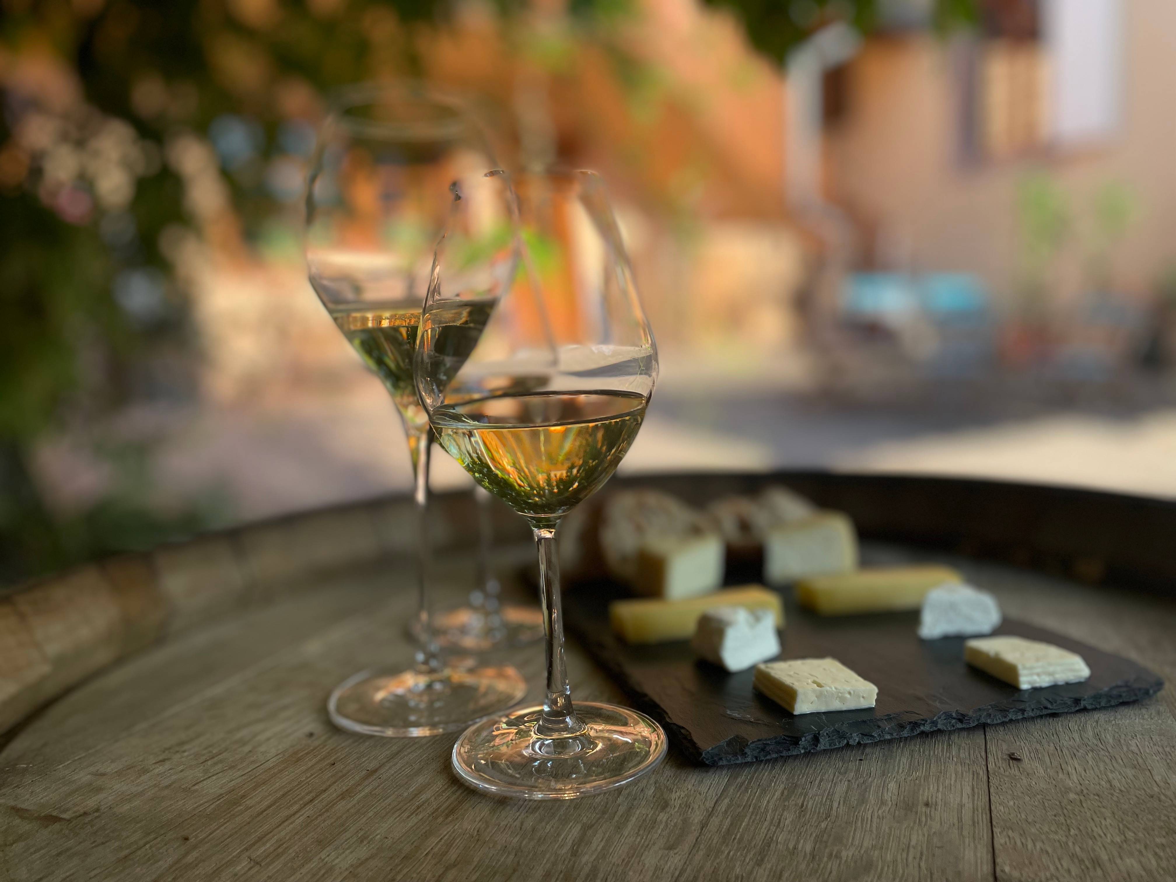 Immersion dans la Vallée de Munster : Vins et Fromages