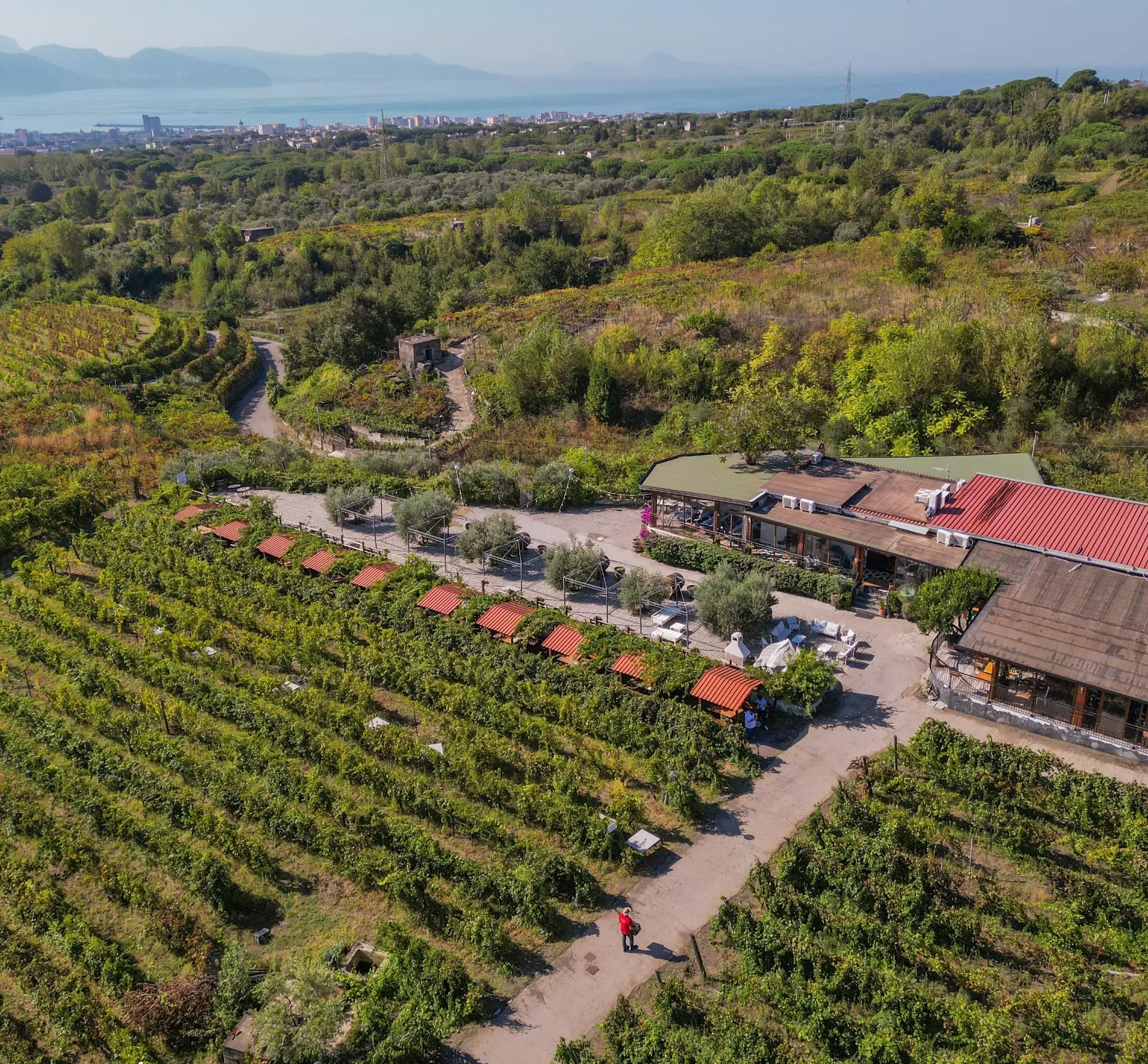 Tenuta Sorrentino Vesuvio - Winalist