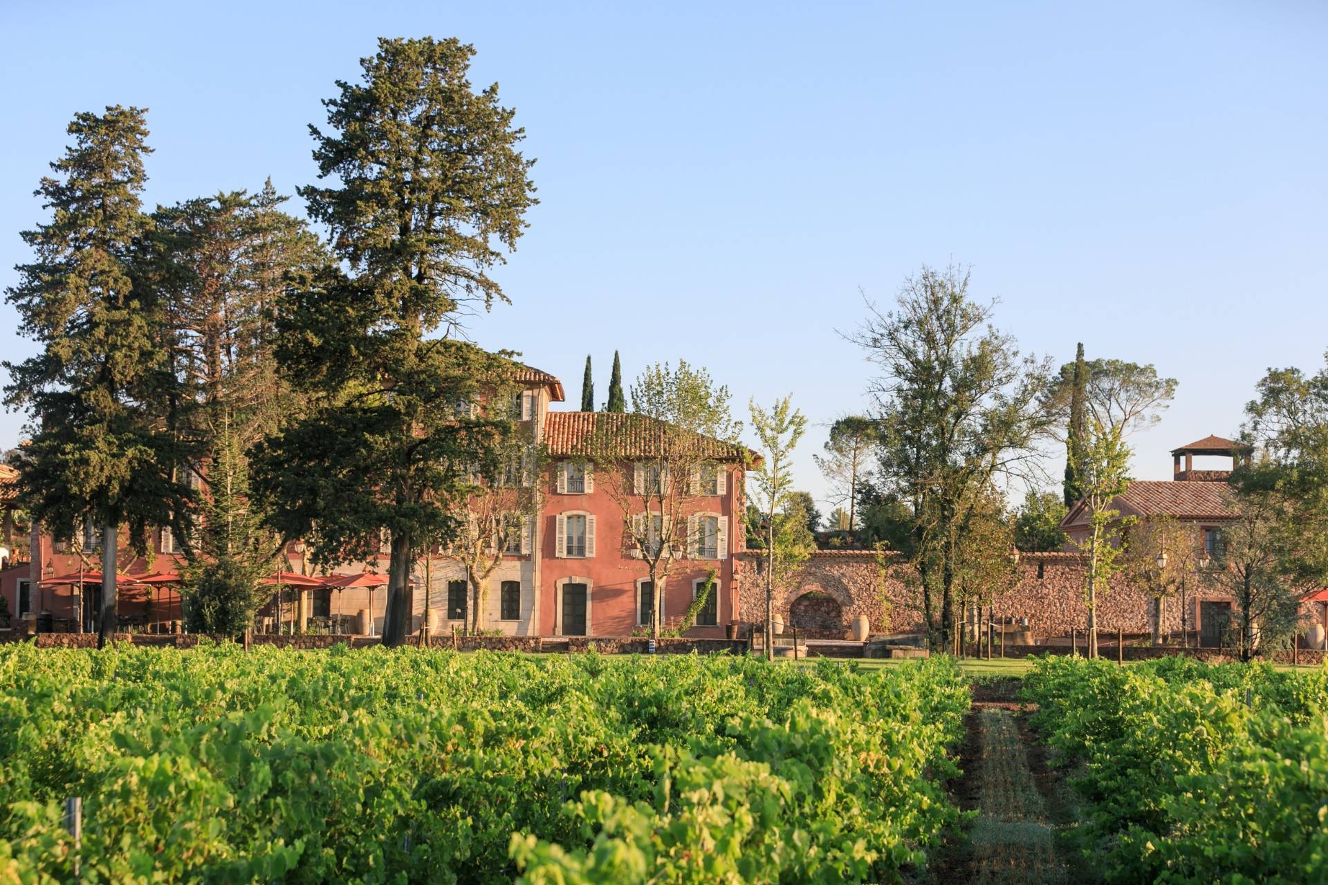Château Saint-roux - Winalist