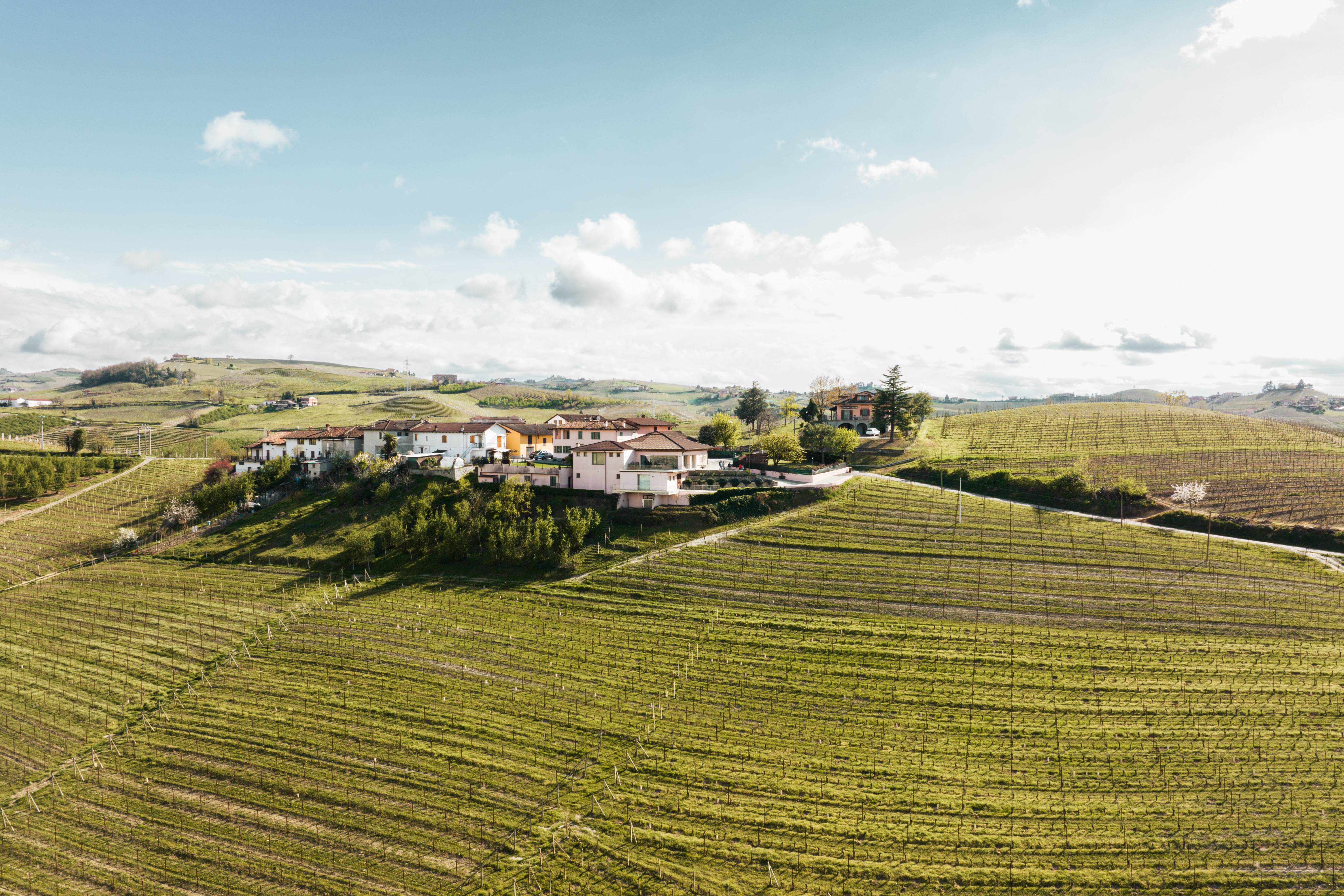 neive - Visiter Neive : Trésor viticole du Piémont en Italie - 2025 - 11