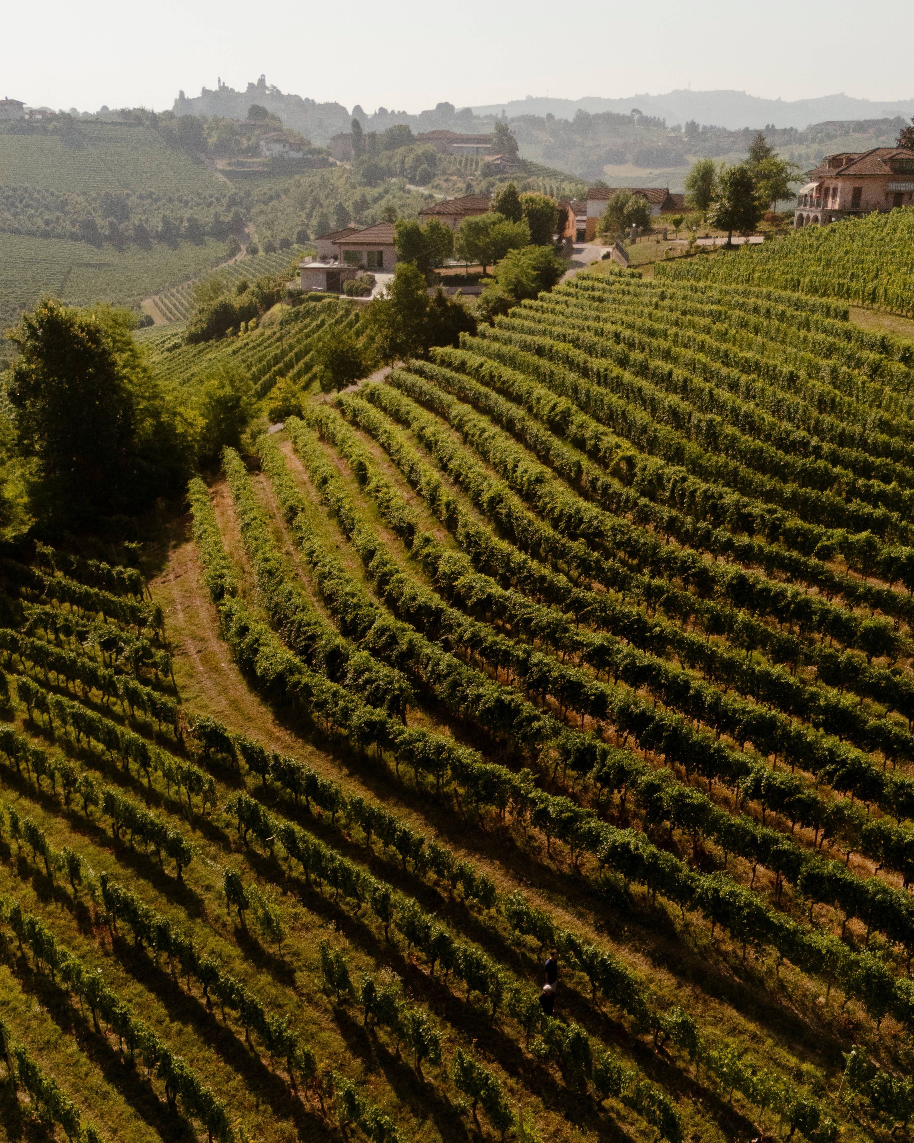 Degustazione "Gran Monsú"