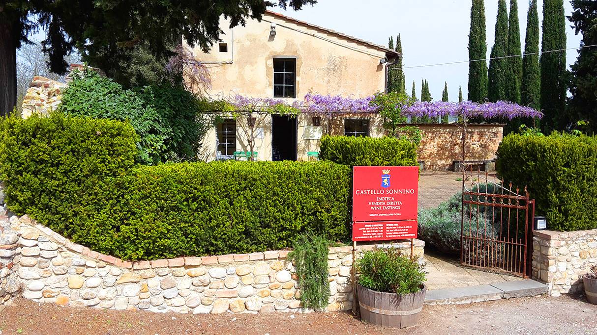 Gourmet wine tasting with tour
