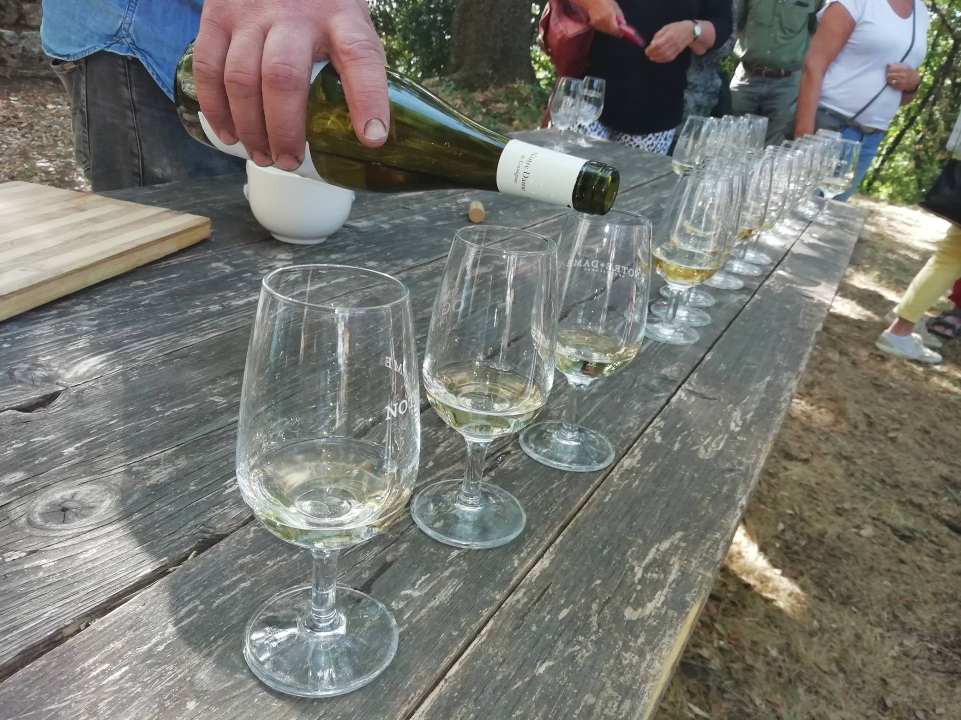 Domaine De Cousignac - Winalist