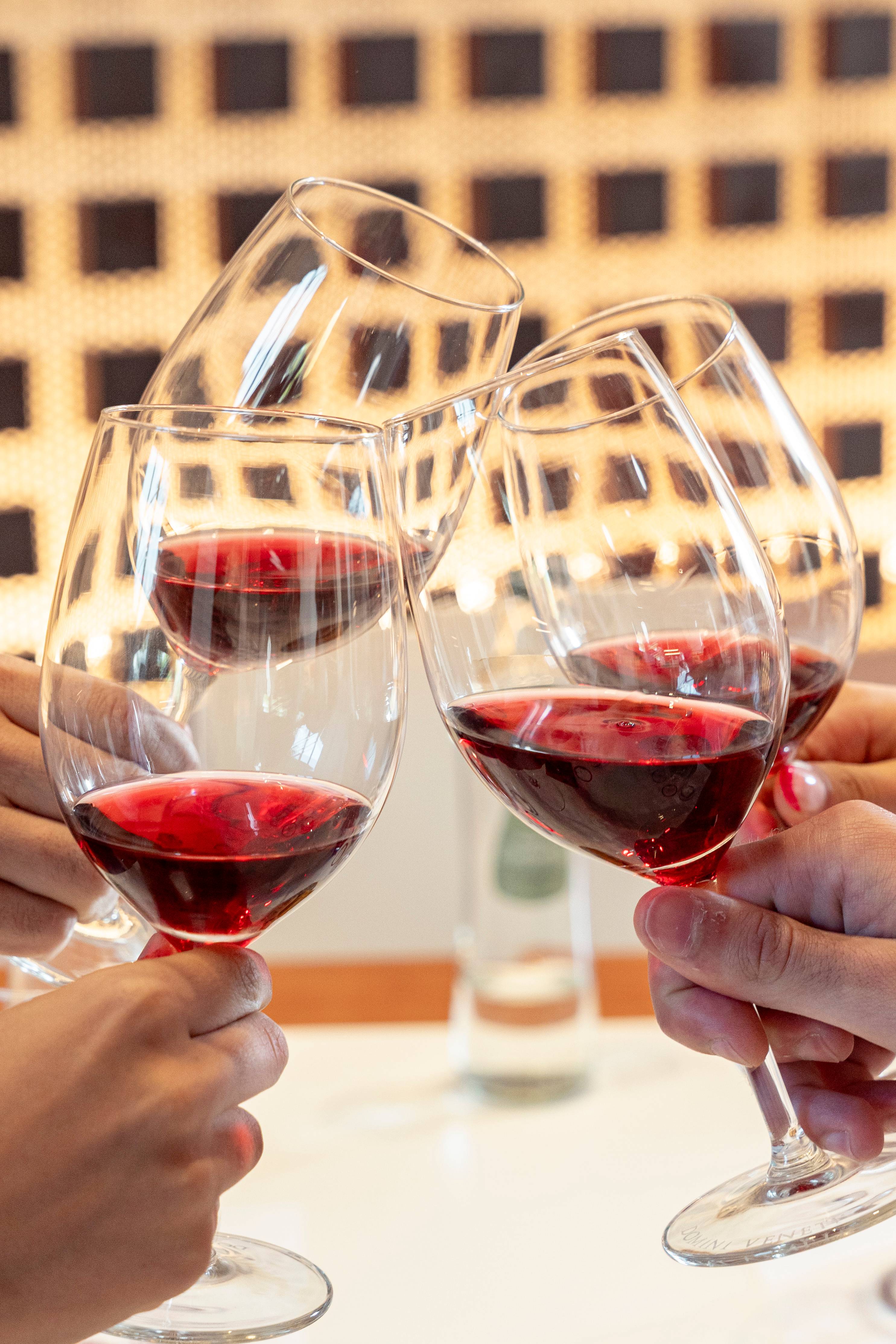 Amarone - Cantina Valpolicella Negrar - Winalist