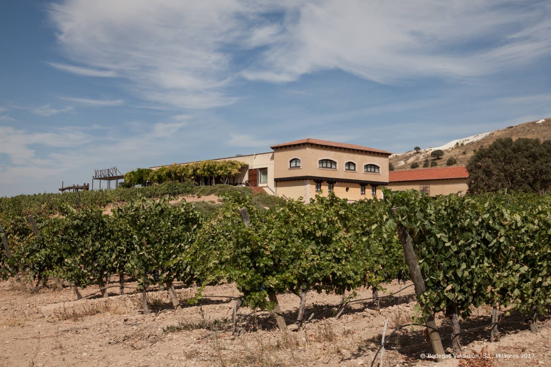Bodegas Valdubón - Winalist