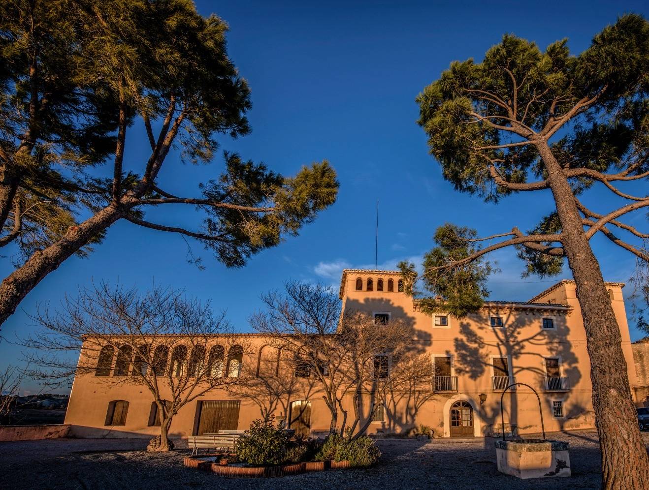 Can Lleó de Vilanoveta - Winalist