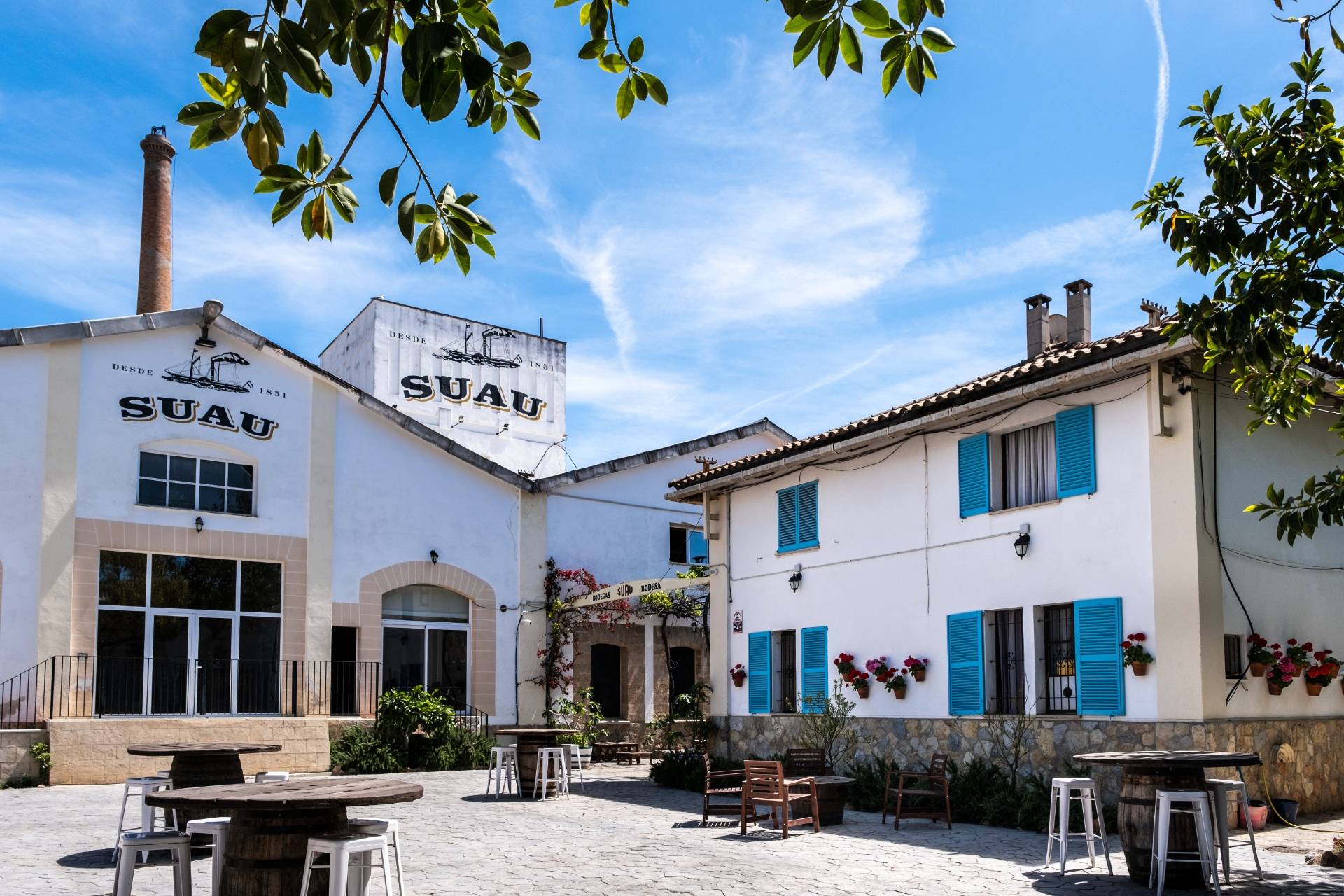 Bodega Mallorca - Winalist