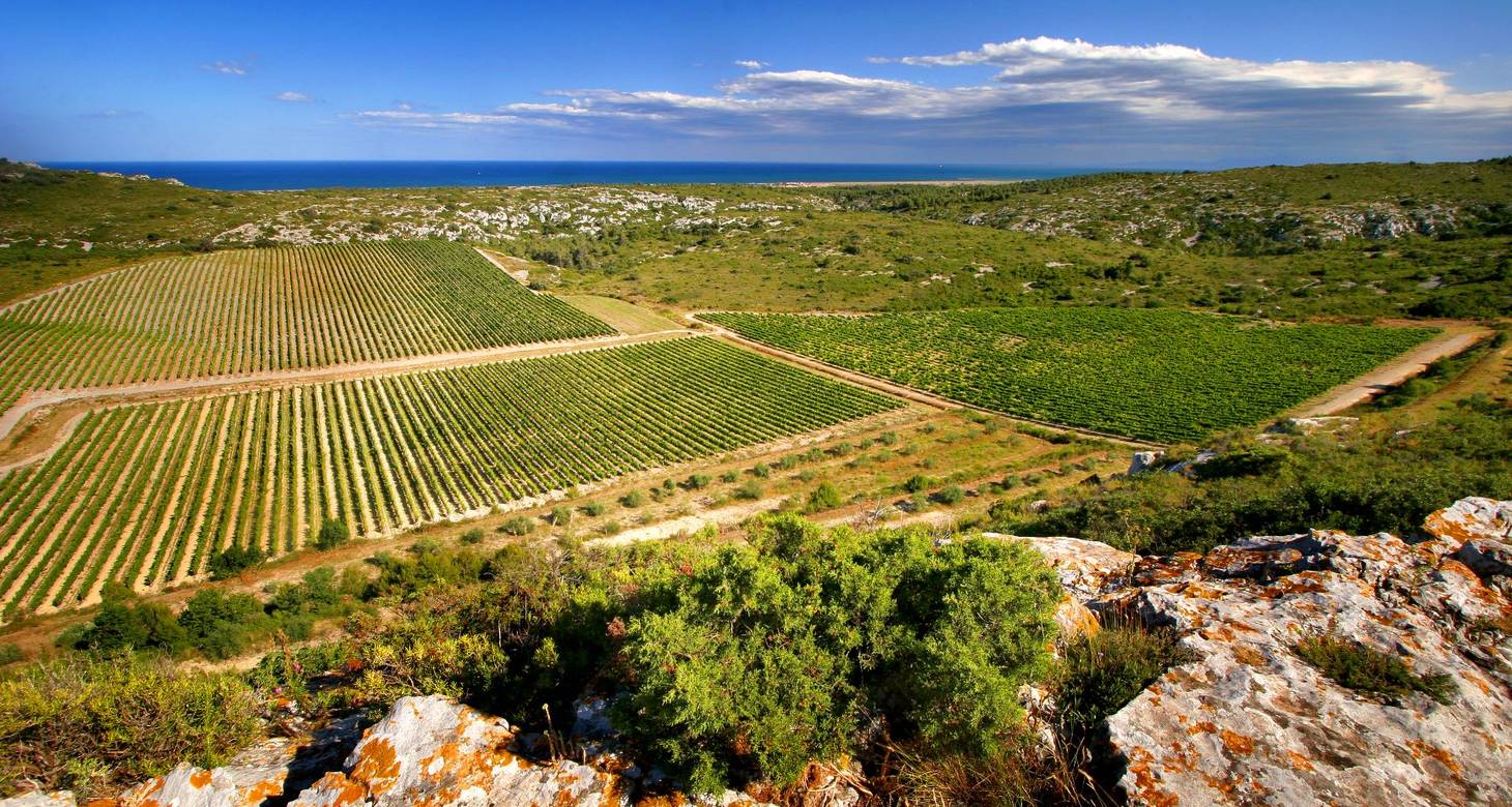 Visiter Montpellier : les incontournables à faire et voir dans le sud - 2026 - 12 - visiter montpellier visiter montpellier - Visiter Montpellier : les incontournables à faire et voir dans le sud - 2026 - 11