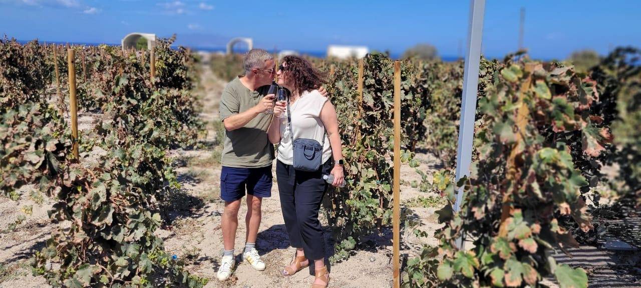 Santorini Volcanic Wine & Private Lunch