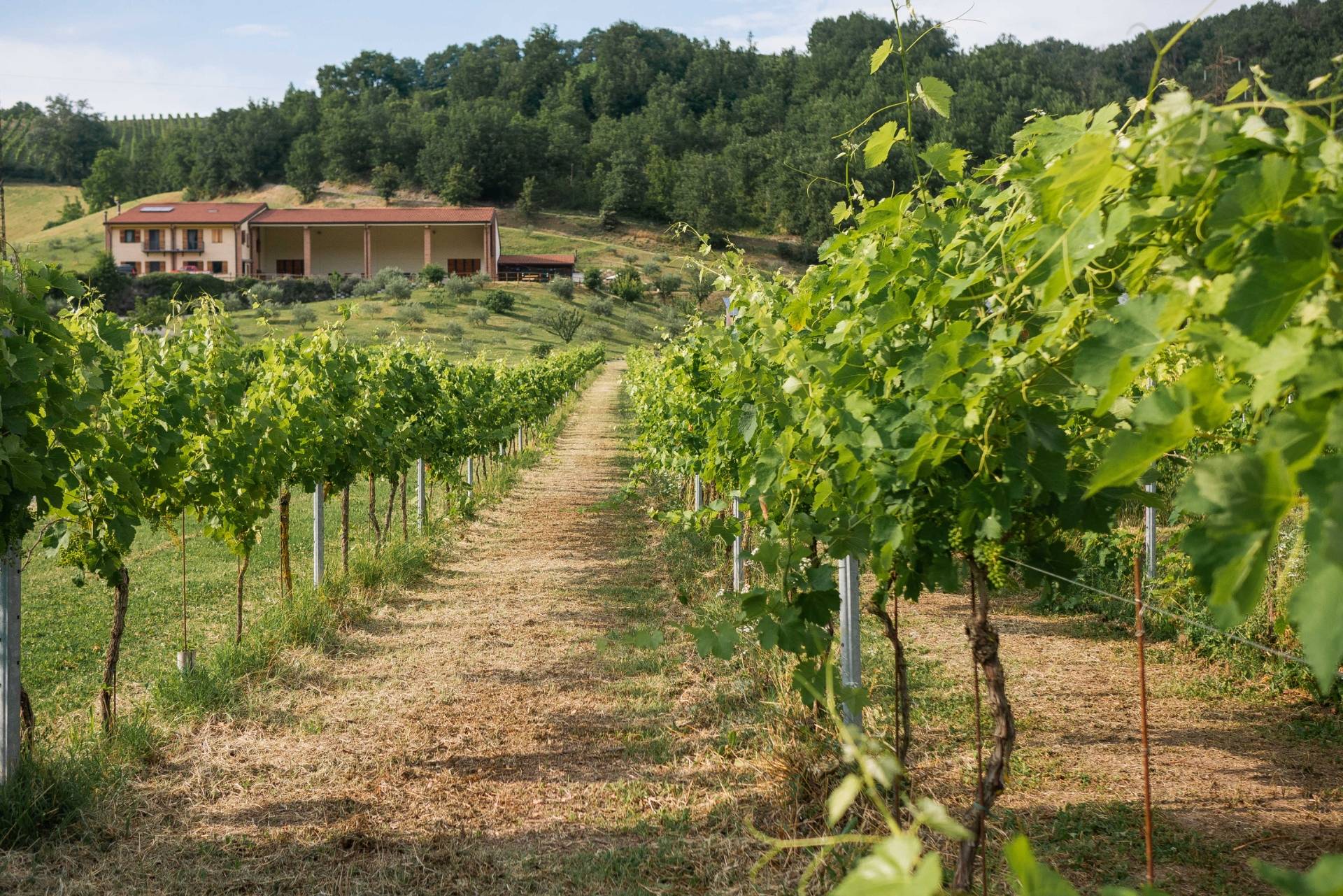 Vigna Cunial - Winalist