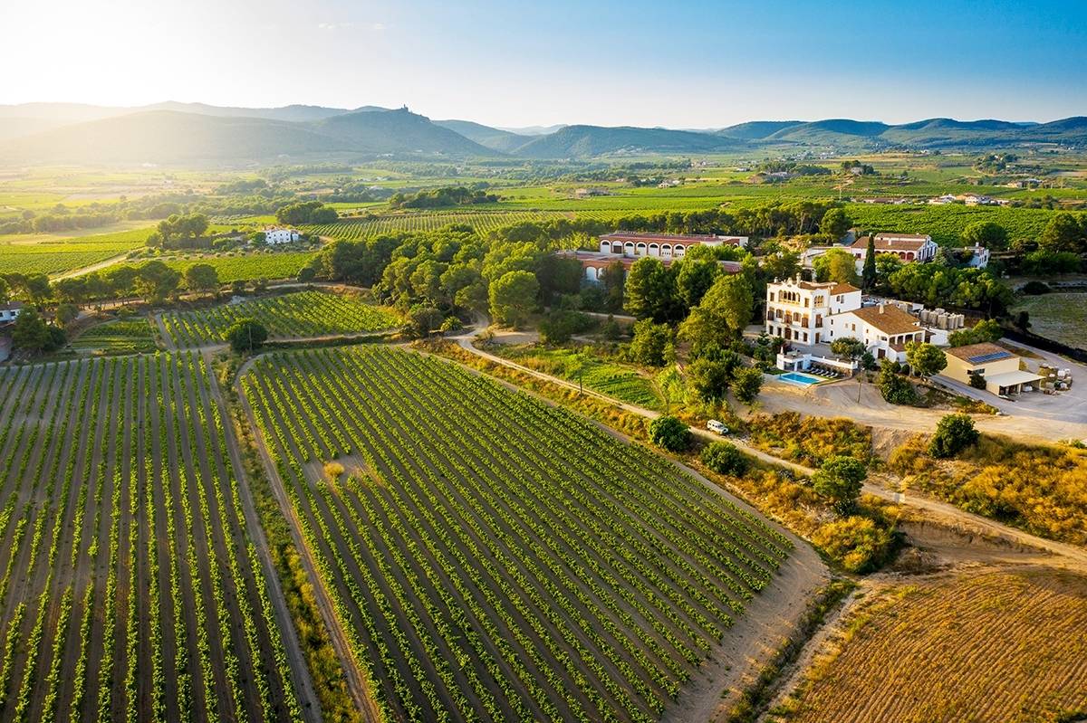 Cavas Bolet - Winalist