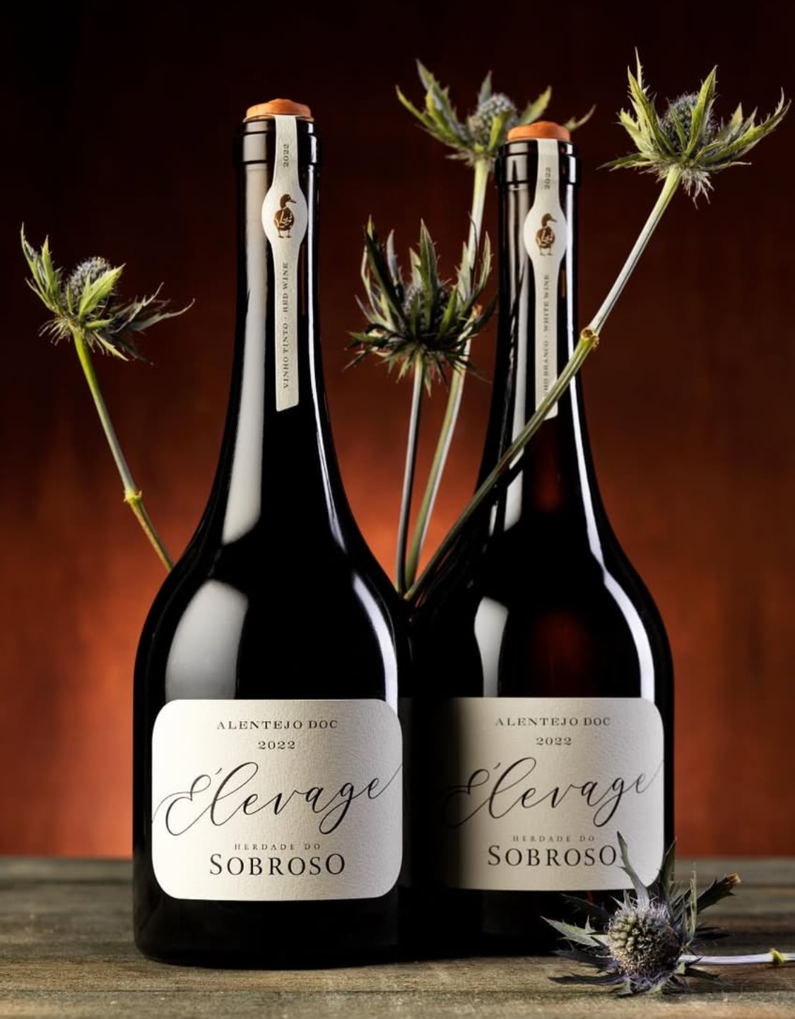 Wine Tour Super Premium com Prova de 5 Vinhos - Herdade Do Sobroso Wine & Luxury Boutique Hotel - Winalist