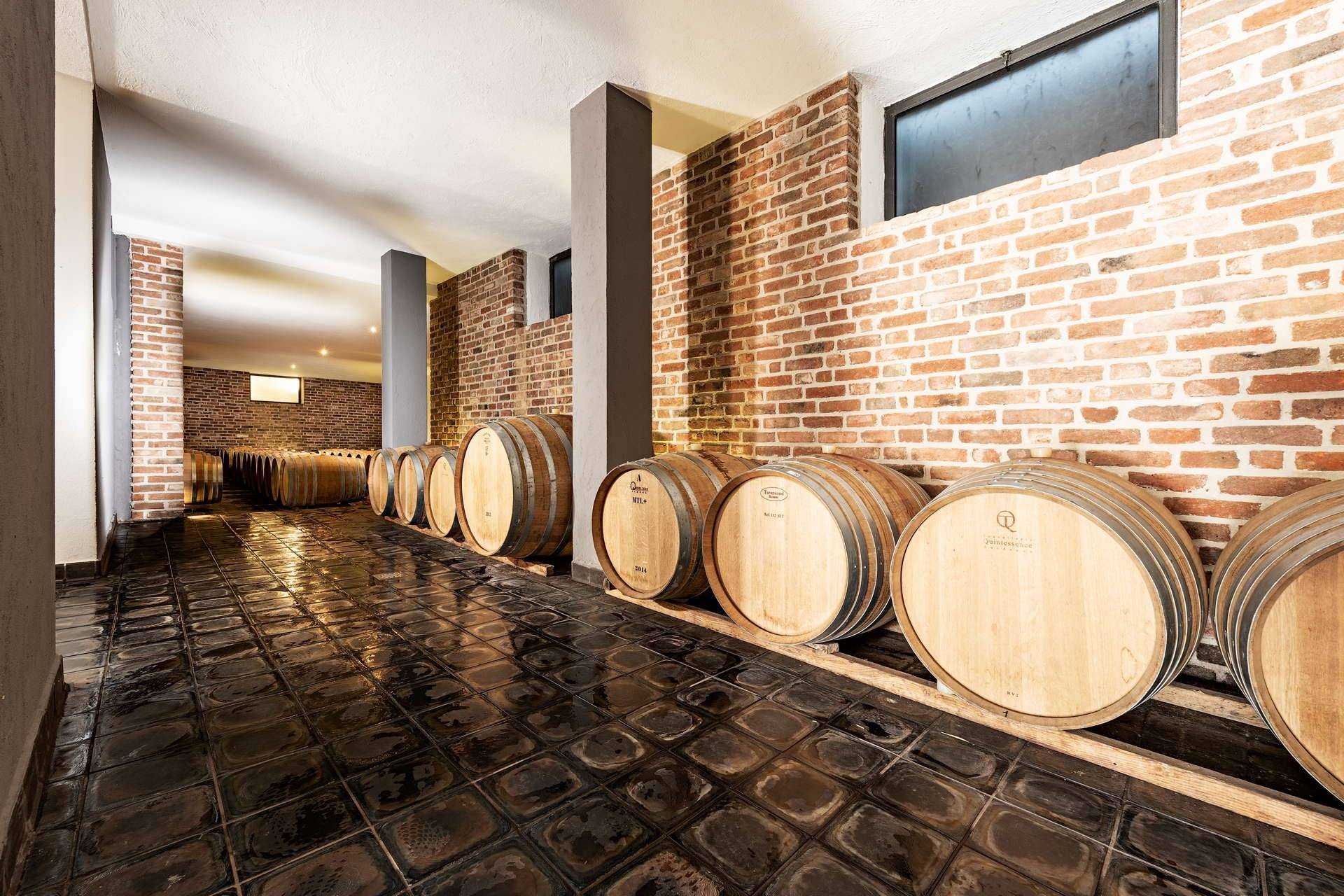 Cantina  Fabrizio Battaglino - Winalist