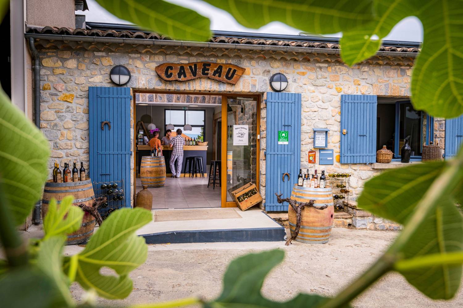 Route des vins de la Côte du Rhône : Itinéraire et lieux incontournables à visiter - 2026 - 27 - route des vins de la côte du rhône, route des vins cote du rhone, route des vins côte du rhône route des vins de la côte du rhône, route des vins cote du rhone, route des vins côte du rhône - Route des vins de la Côte du Rhône : Itinéraire et lieux incontournables à visiter - 2026 - 26
