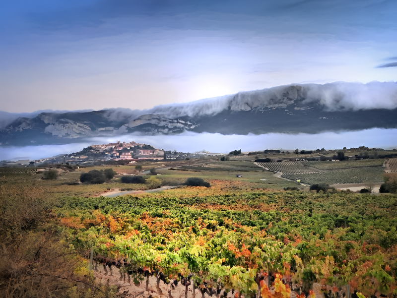 Bodegas Casa Primicia - Winalist