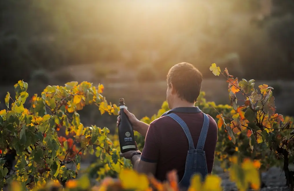 Prior Lucas - Winalist