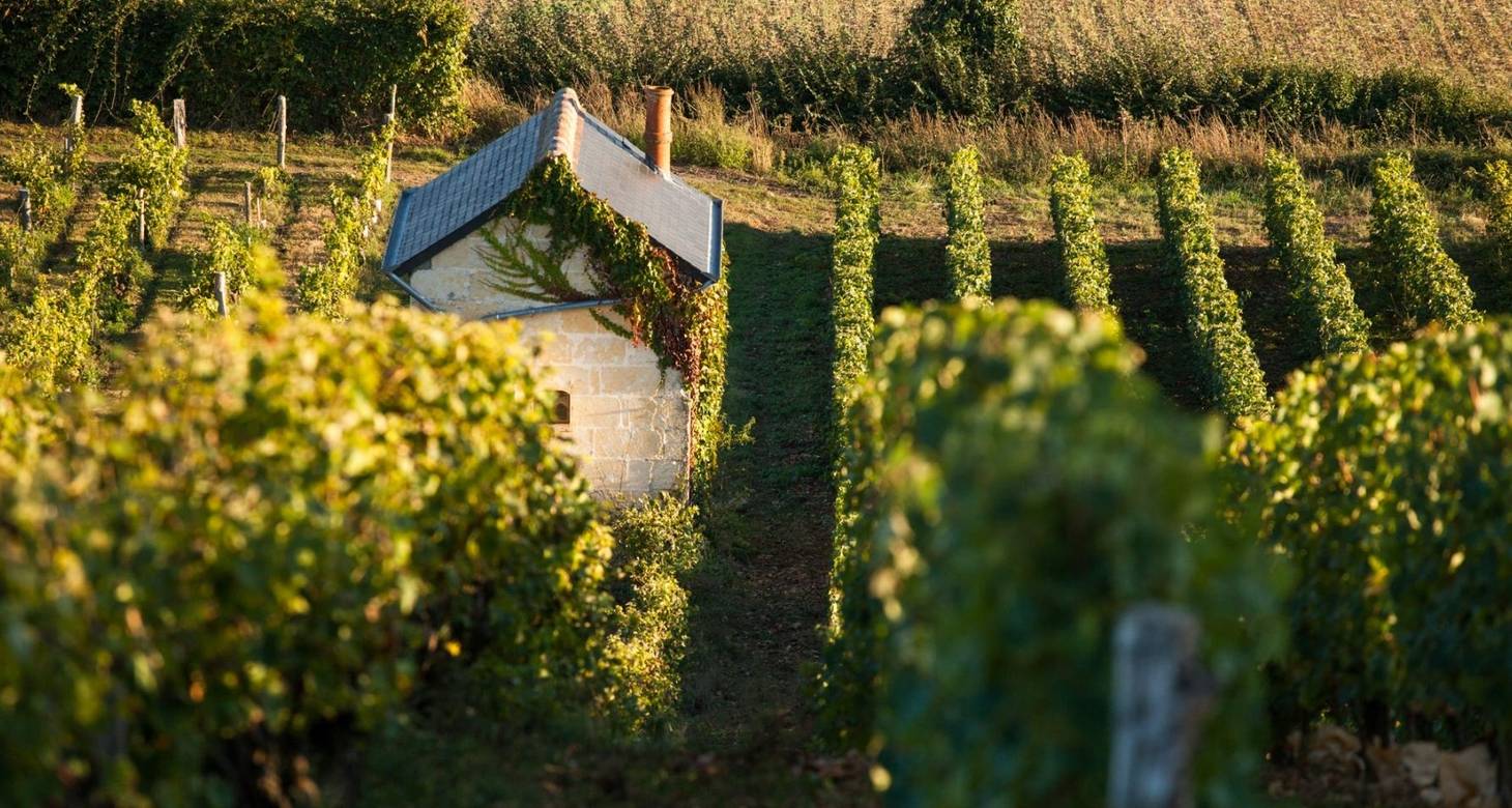 Visiter Blois : Découvrir la ville à pied et les meilleures balades - 2026 - 15 - visiter blois visiter blois - Visiter Blois : Découvrir la ville à pied et les meilleures balades - 2026 - 14