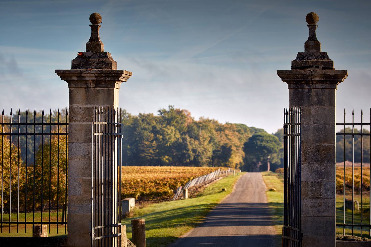 Top 5 des meilleurs bars à vin de Bordeaux - 2026 - 13 - bars à vin de Bordeaux,bars à vin bordeaux bars à vin de Bordeaux,bars à vin bordeaux - Top 5 des meilleurs bars à vin de Bordeaux - 2026 - 12