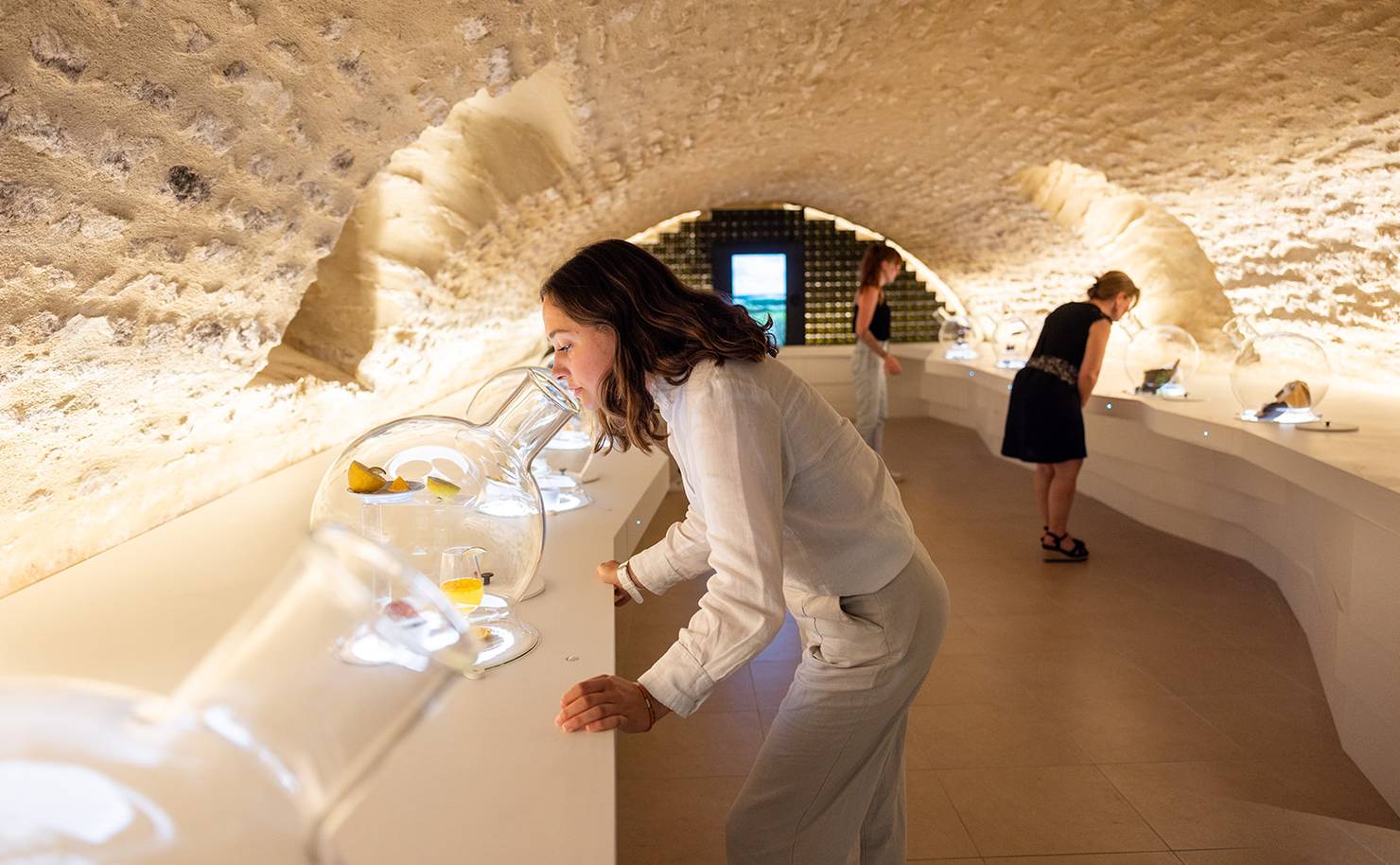 Visiter Chablis, au cœur des vignobles et du patrimoine - 2026 - 7 - visiter chablis, chablis visiter chablis, chablis - Visiter Chablis, au cœur des vignobles et du patrimoine - 2026 - 6