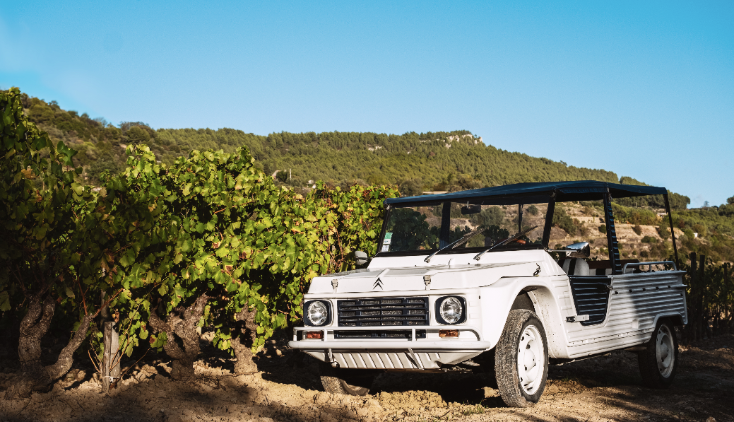 My Wine Adventure - Winalist