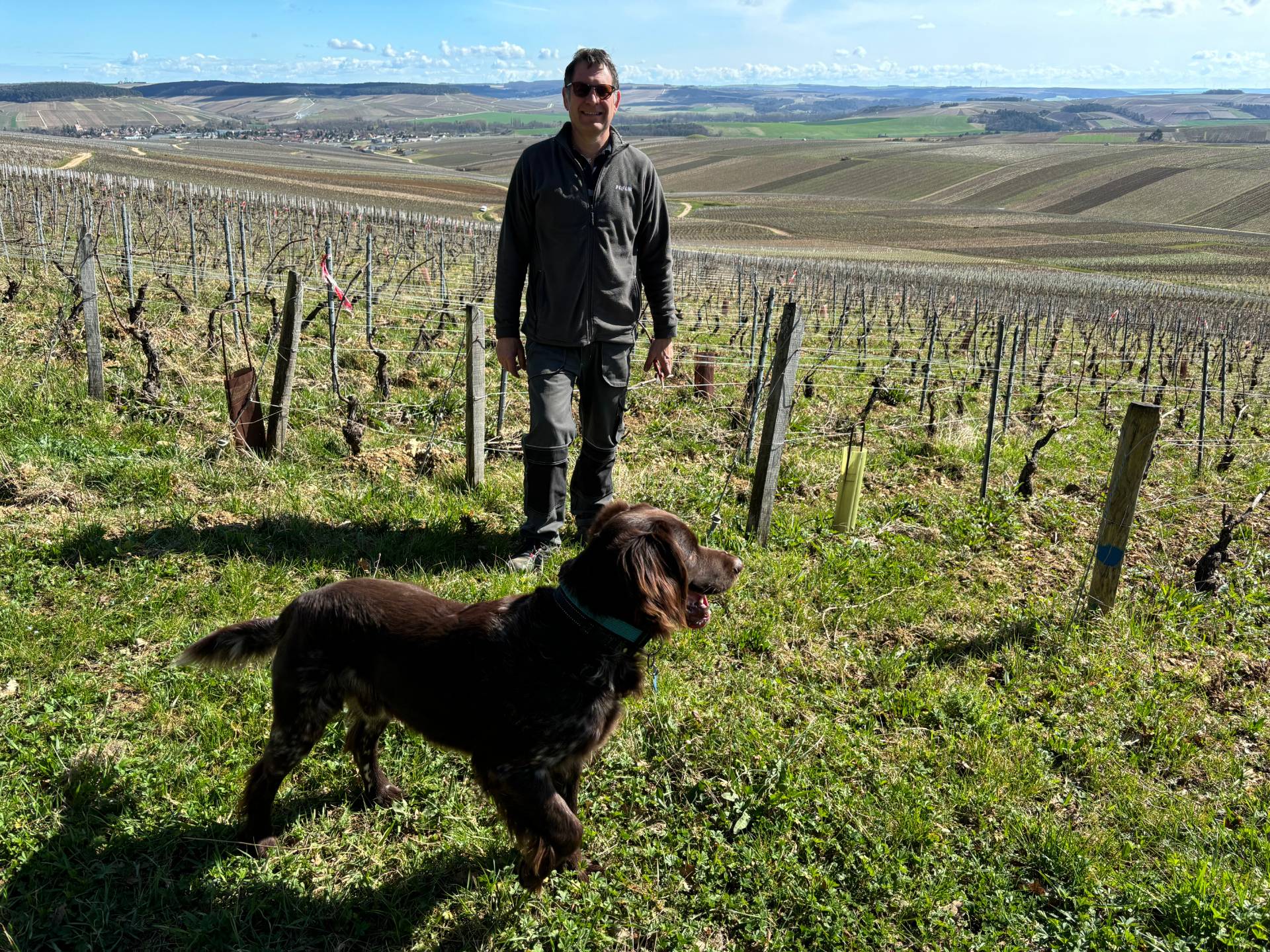 À propos des vignerons - Domaine Fourrey - Photo - Winalist