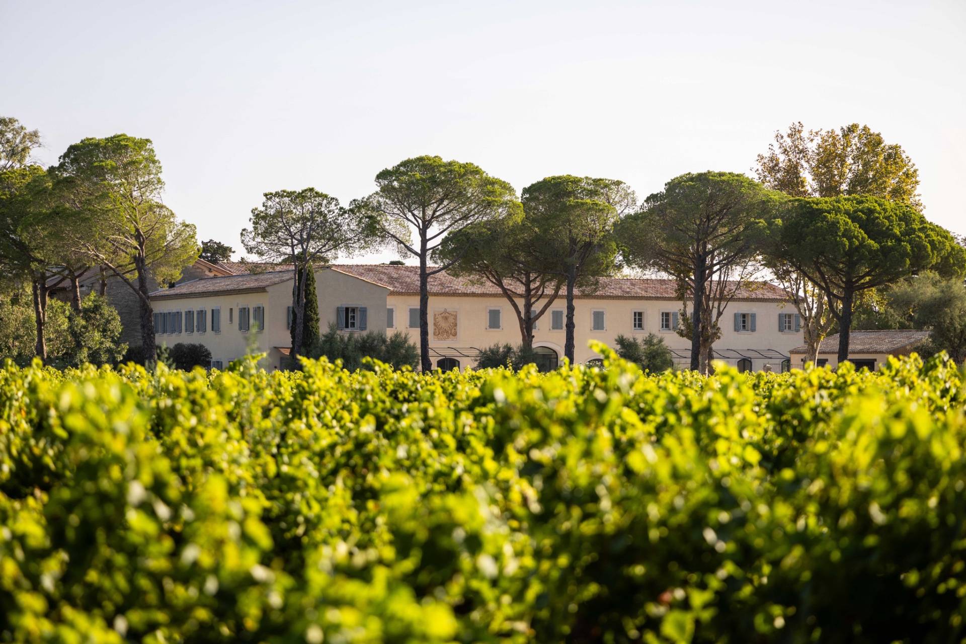Domaine Terres de Sable 