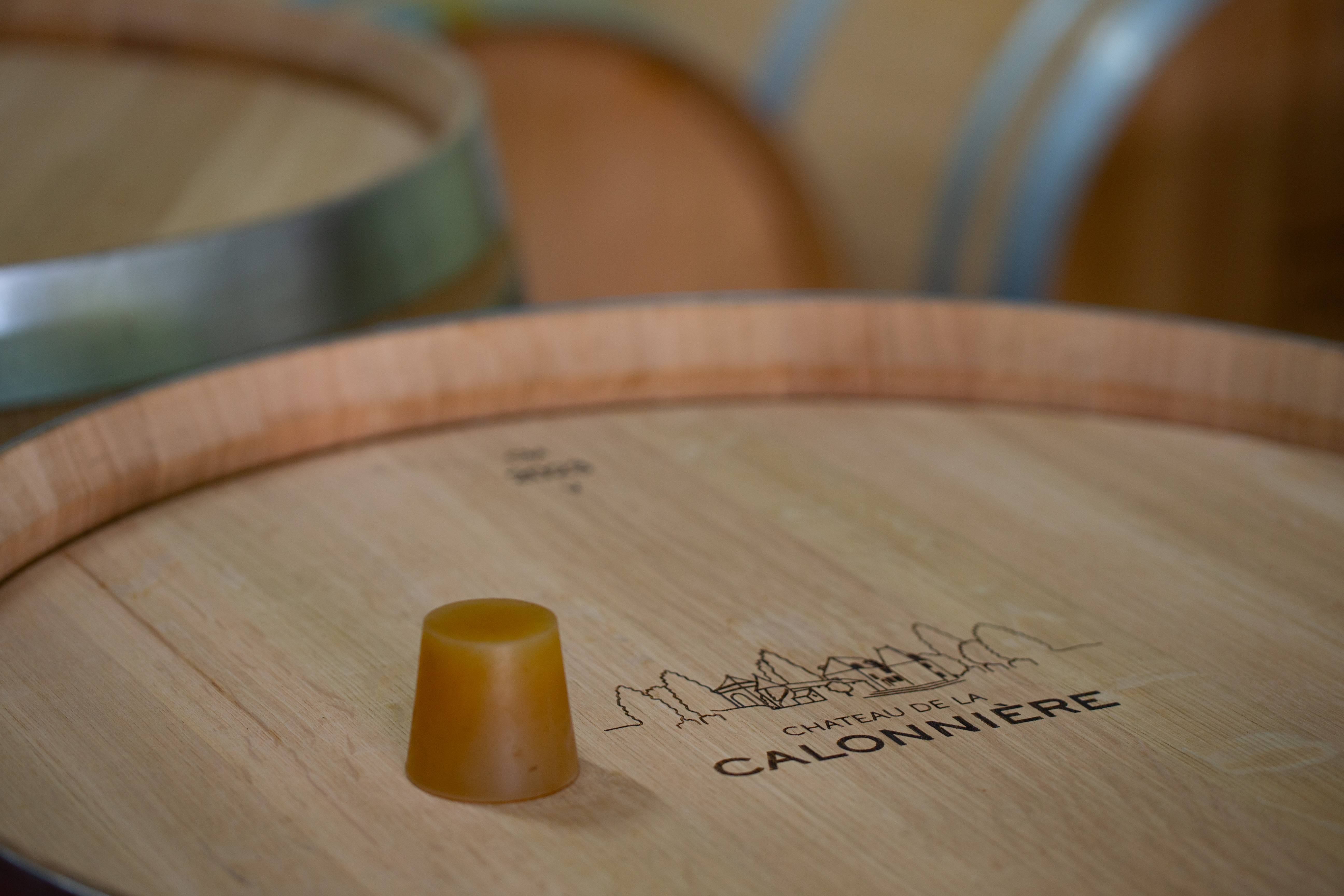 Una fuga tra i vigneti