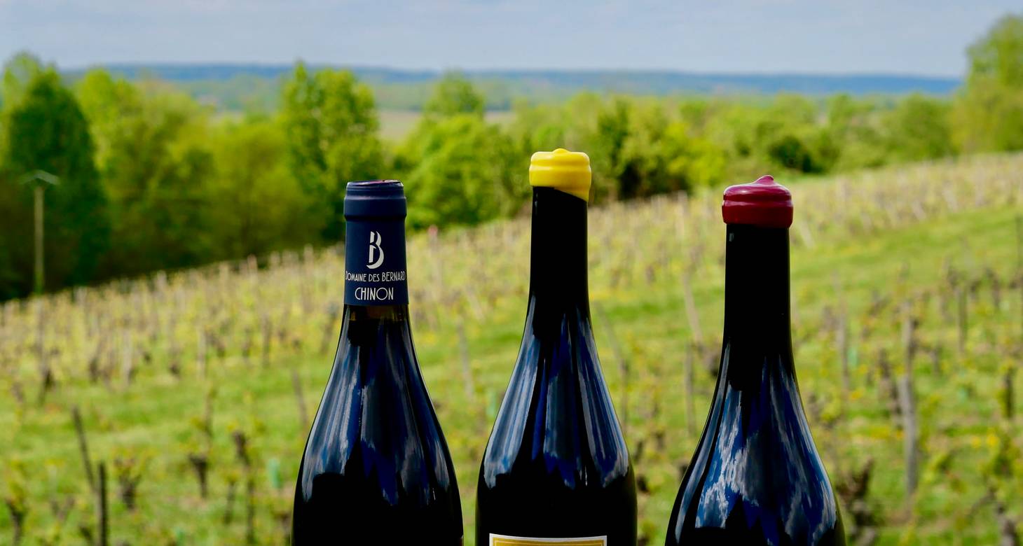 Visiter Chinon : Que faire au cœur du Val de Loire - 2026 - 26 - visiter chinon visiter chinon - Visiter Chinon : Que faire au cœur du Val de Loire - 2026 - 25