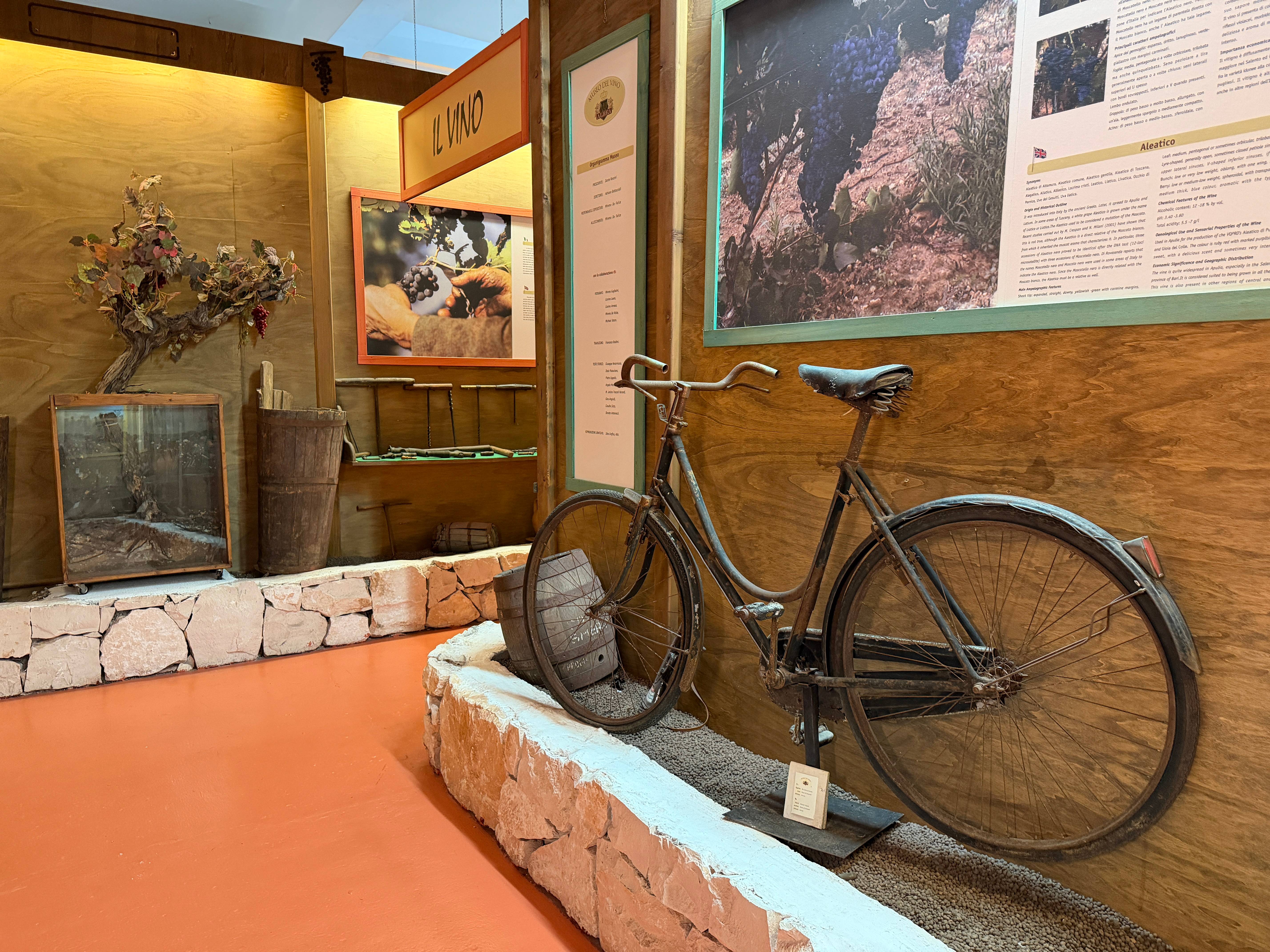 Wine Experience con visita a Cantina e Museo Vino