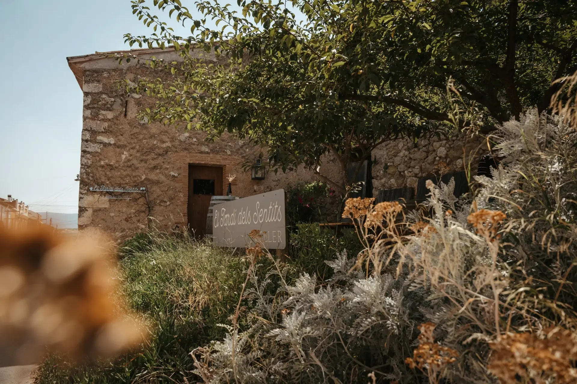 El Jardí Dels Sentits - Winalist