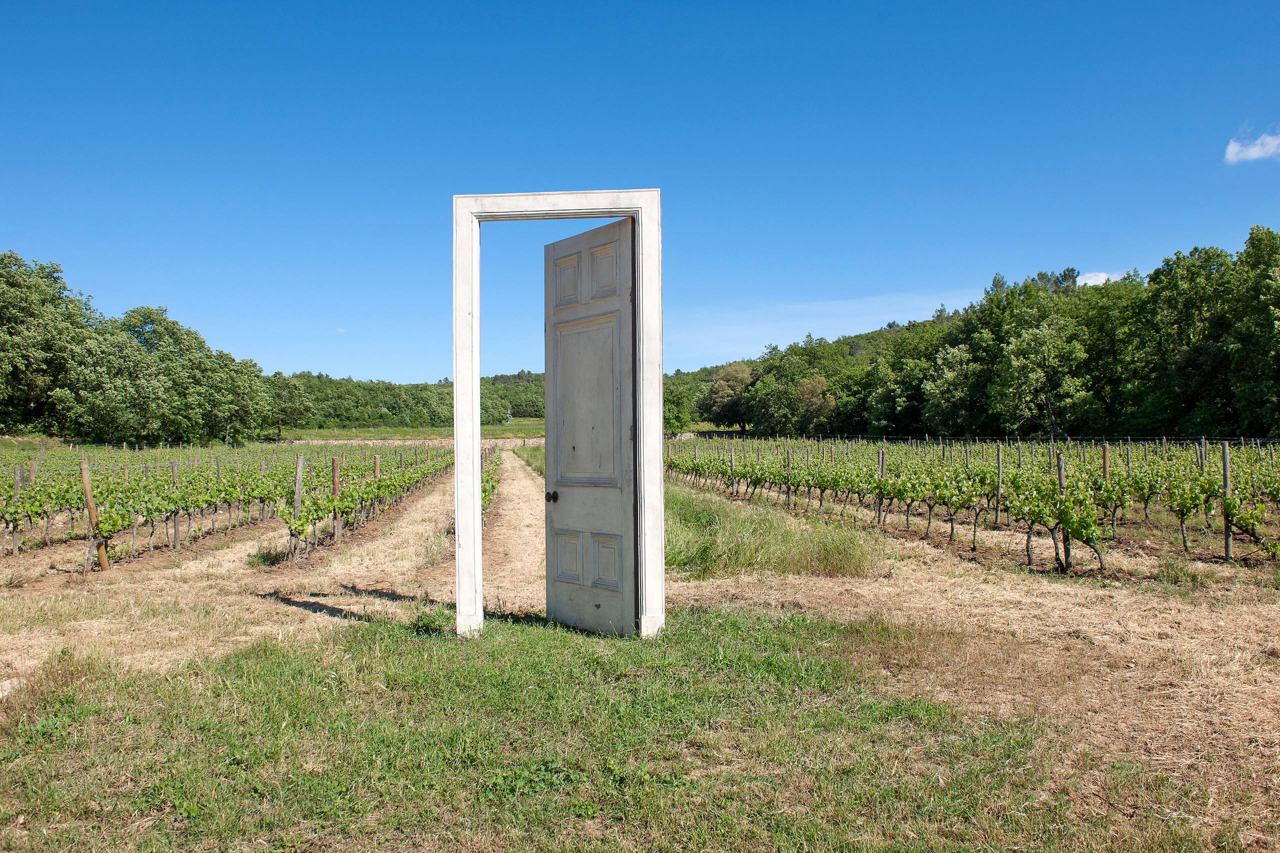 Route des vins de Nice : Guide et itinéraire - 2026 - 19 - route des vins de nice route des vins de nice - Route des vins de Nice : Guide et itinéraire - 2026 - 18