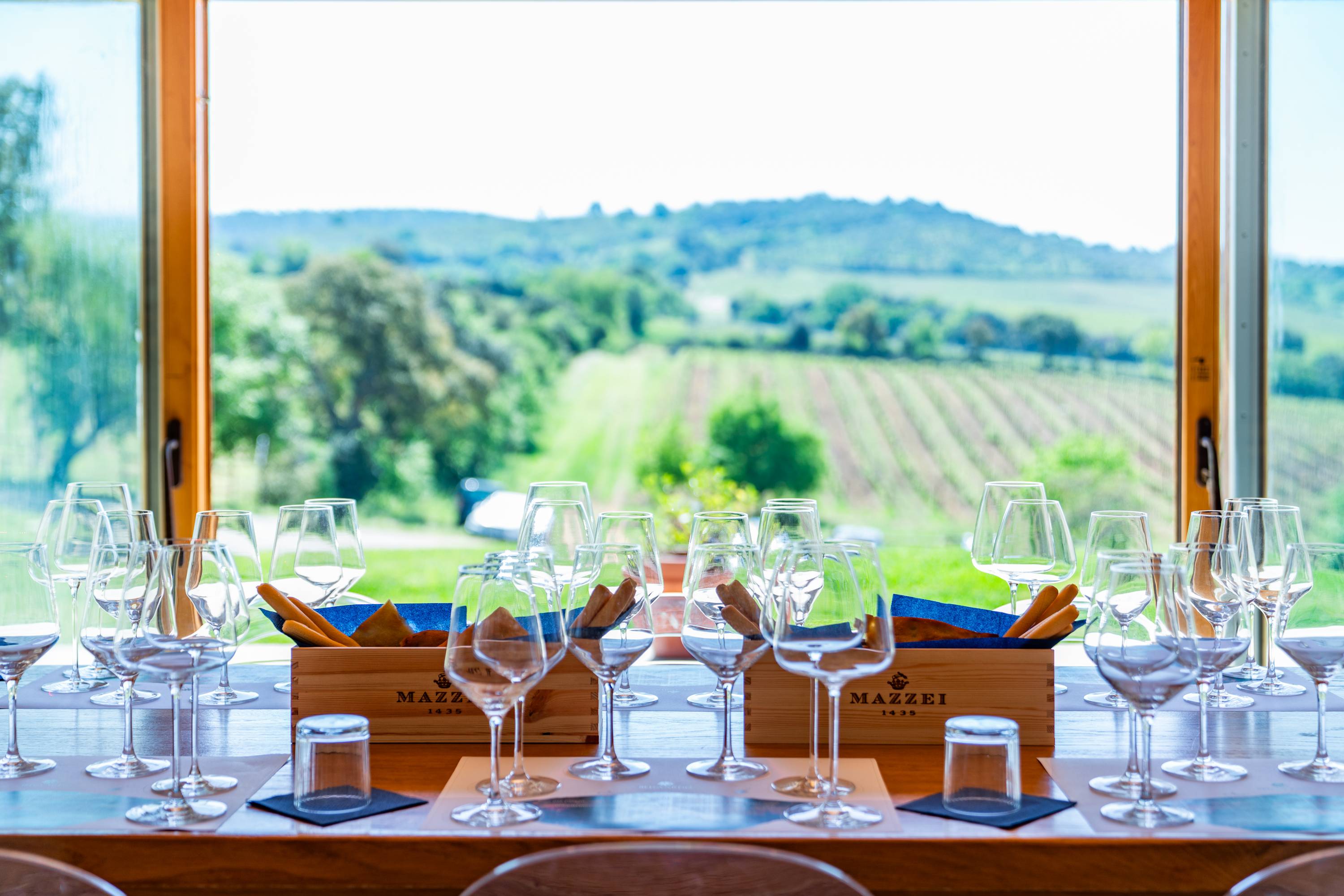 Premium Wine Tour