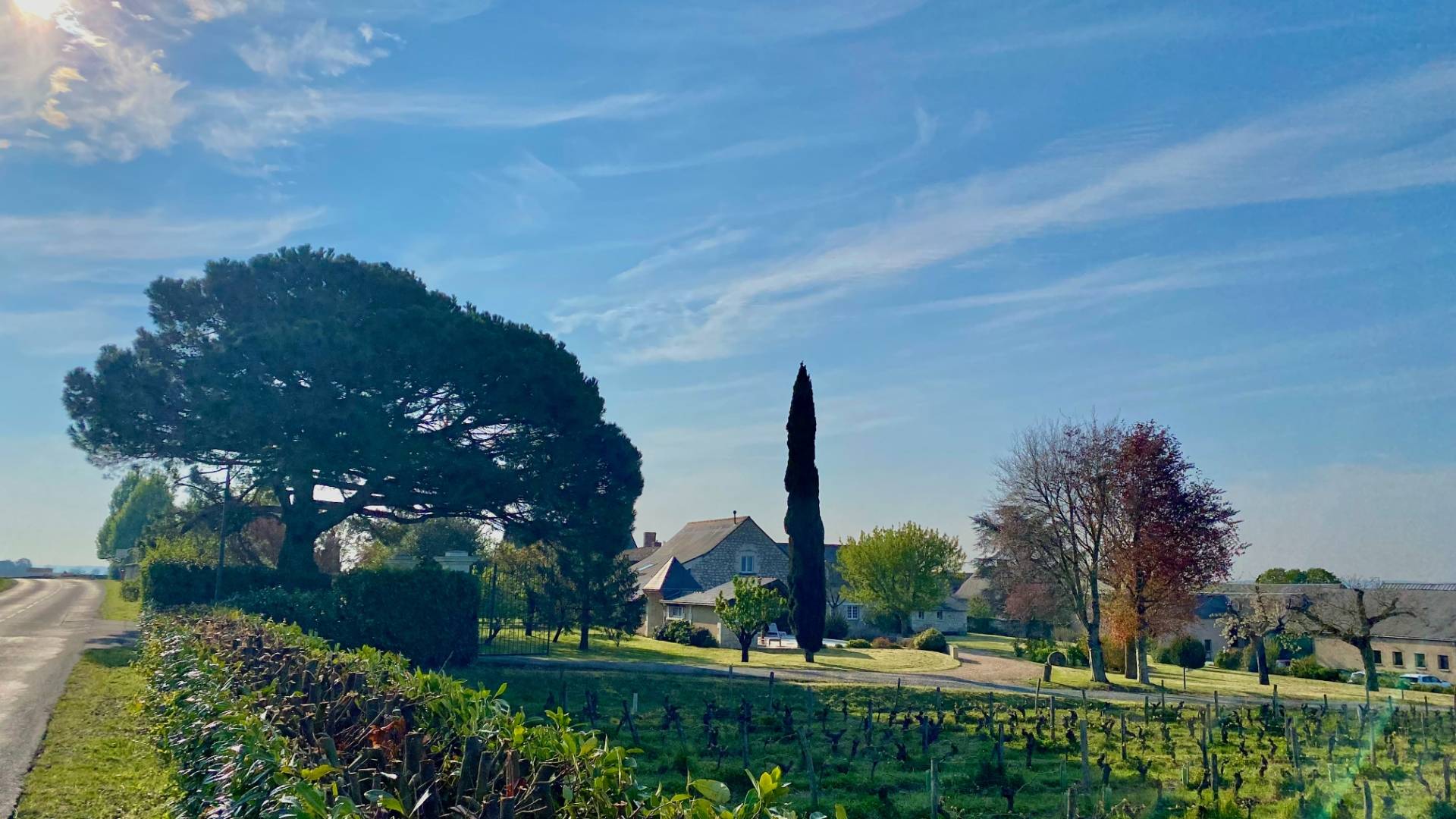 Domaine des Bernard - Winalist